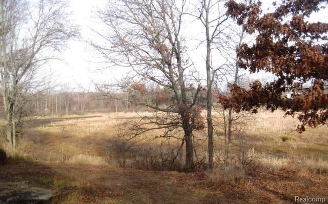 13284 Neal Road Davisburg, MI 48350 - Photo 14 of 14 yard.jpg