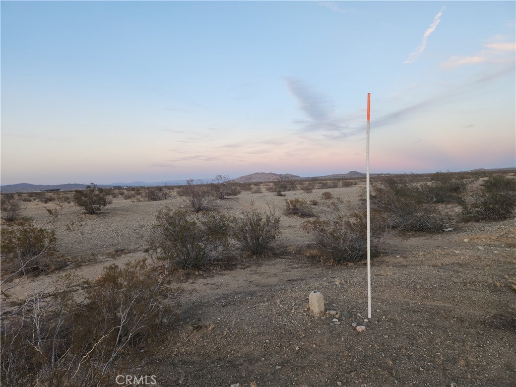 33 Panamint Trail Helendale, CA 92342 - Photo 6 of 8 a view of a dry yard