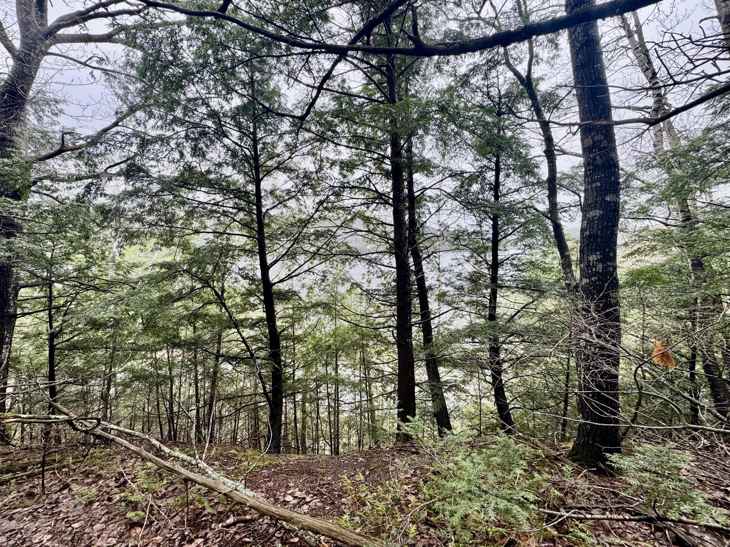 1429 Canada Road Moscow, ME 04920 - Photo 13 of 38 IMG_5673