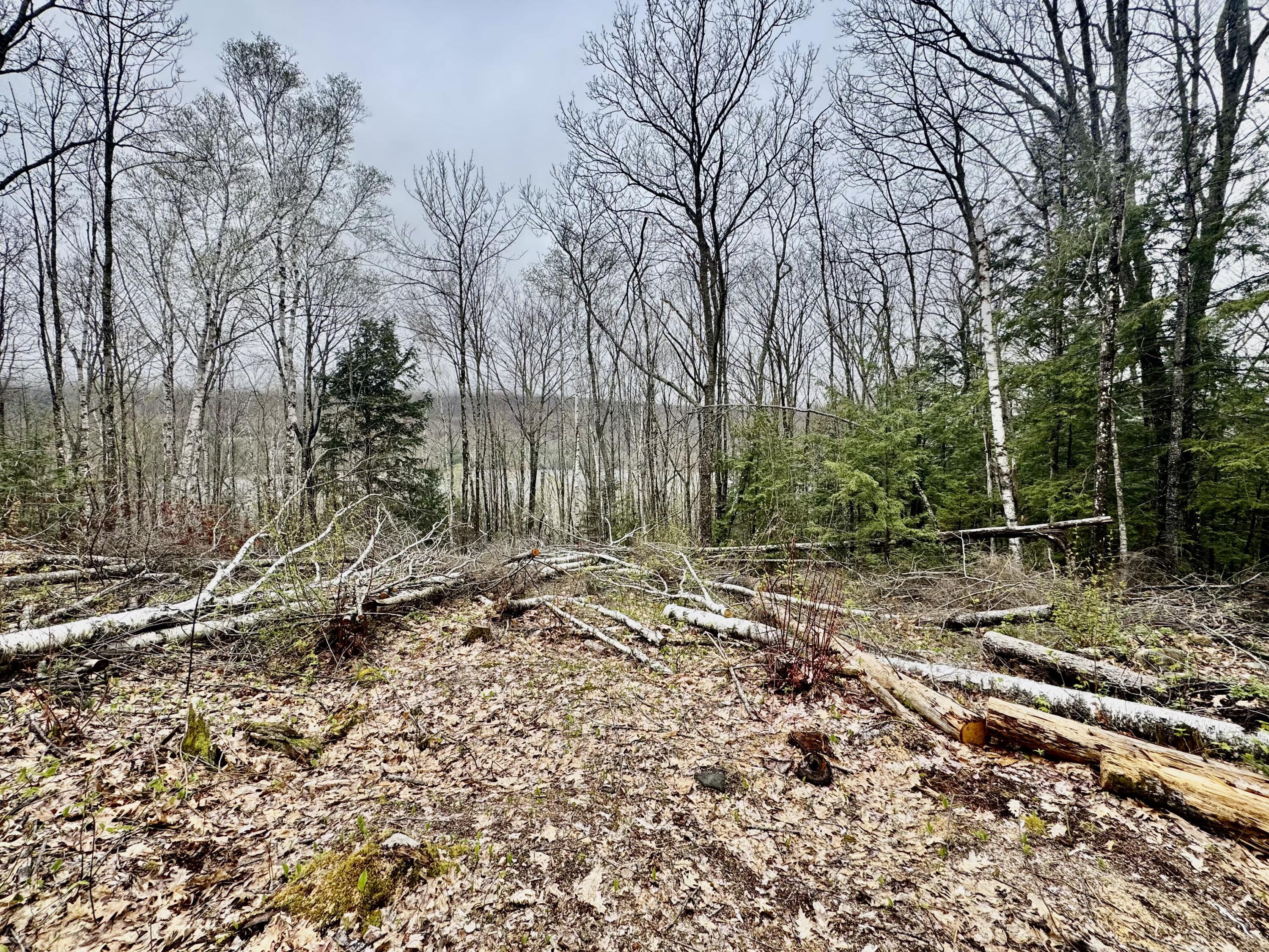 1429 Canada Road Moscow, ME 04920 - Photo 16 of 38 IMG_5677