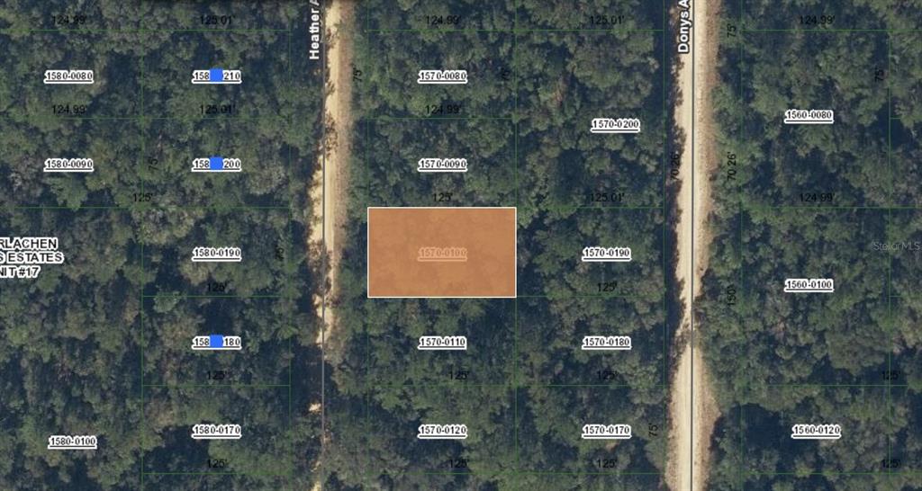 0 Heather Avenue Interlachen, FL 32148 - Photo 1 of 2