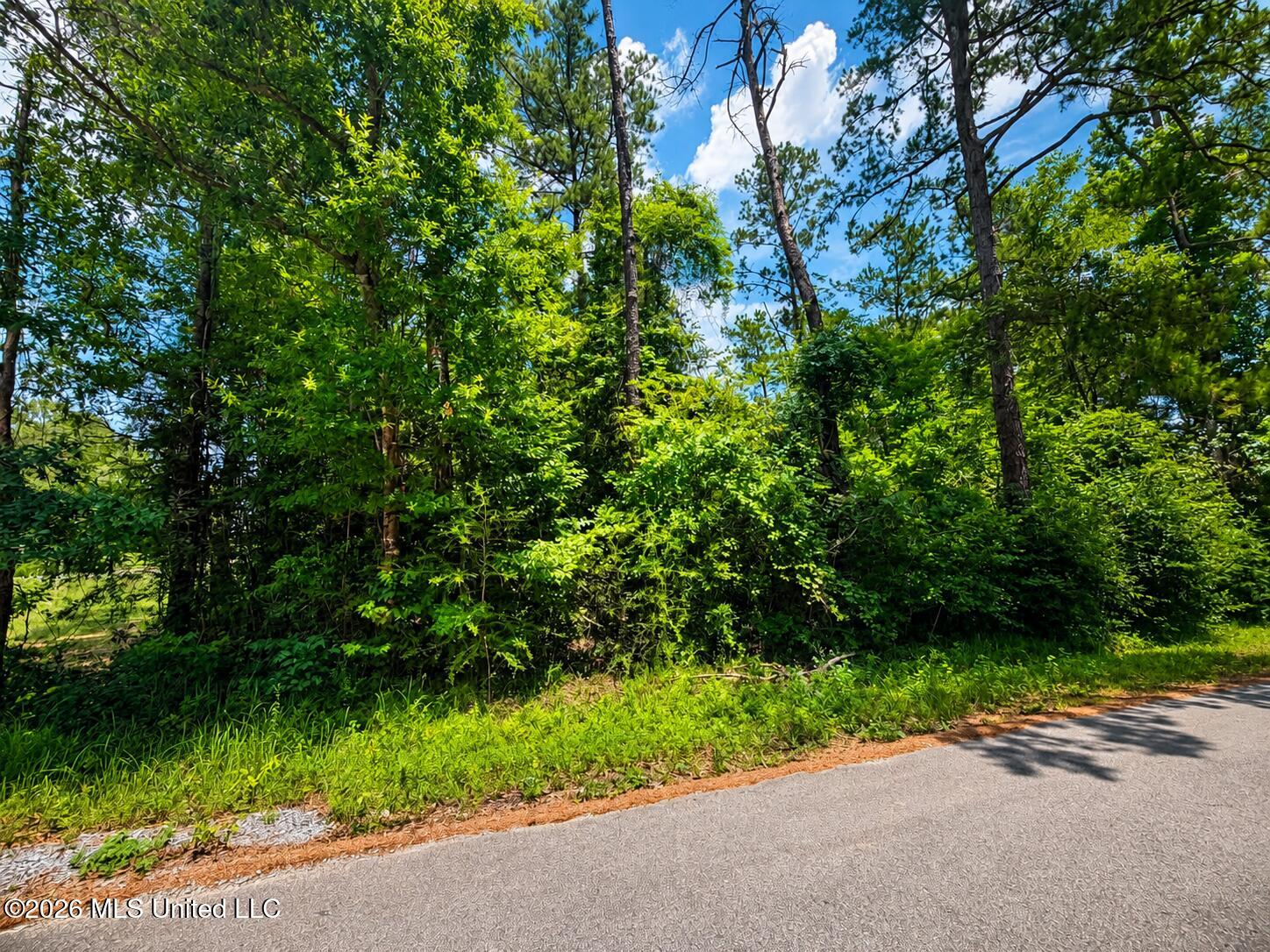 8.2-acres Breland Road McLain, MS 39456 - Photo 6 of 11 Land