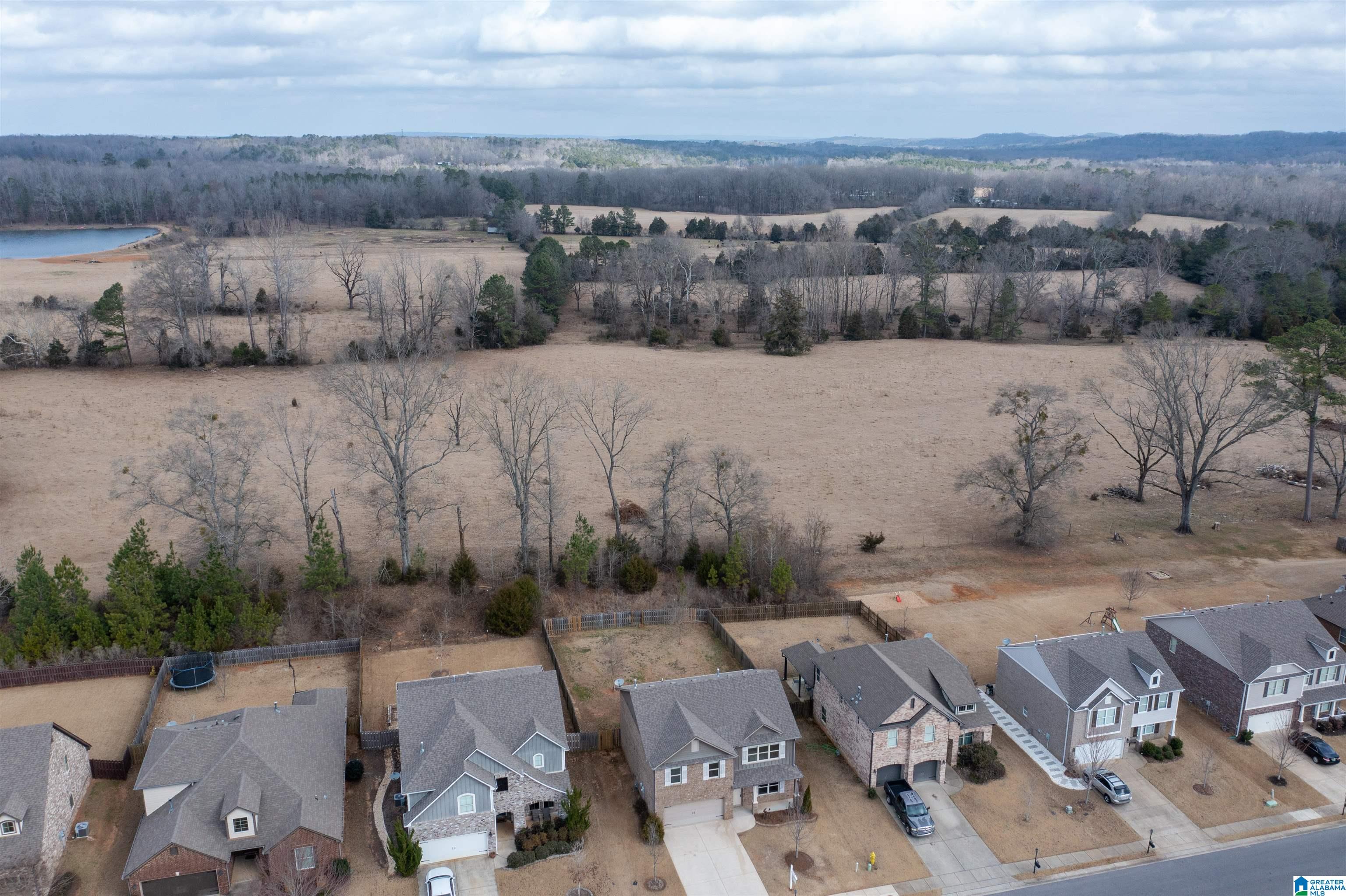 760 Crider Road Alabaster, AL 35114 - Photo 7 of 39