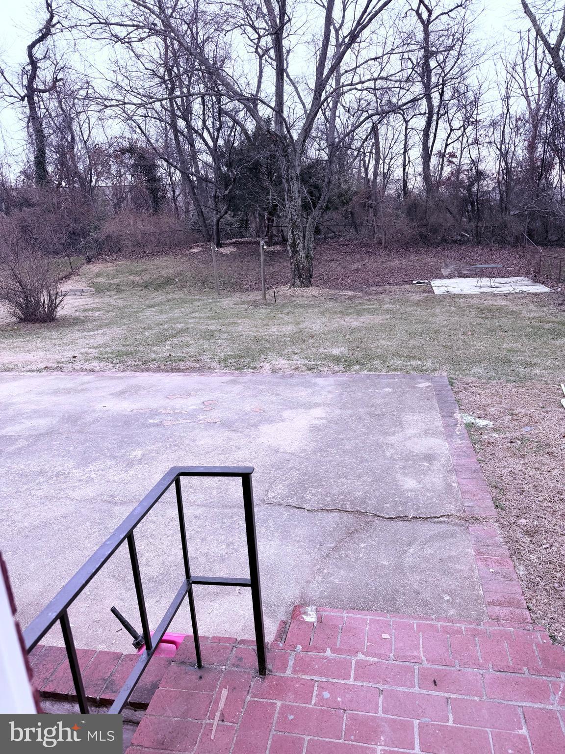 3507 Riviera Street Temple Hills, MD 20748 - Photo 16 of 16 a view of backyard with tree