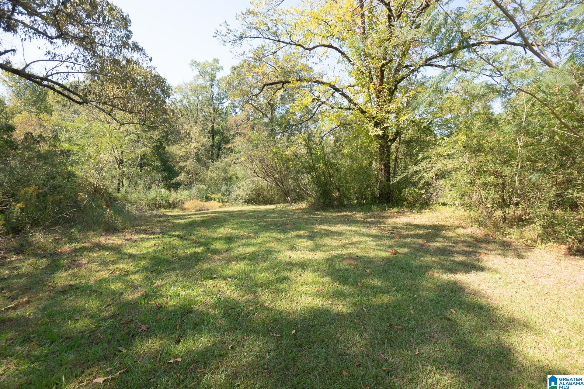 9204 Marsh Mountain Road Pinson, AL 35126 - Photo 48 of 56