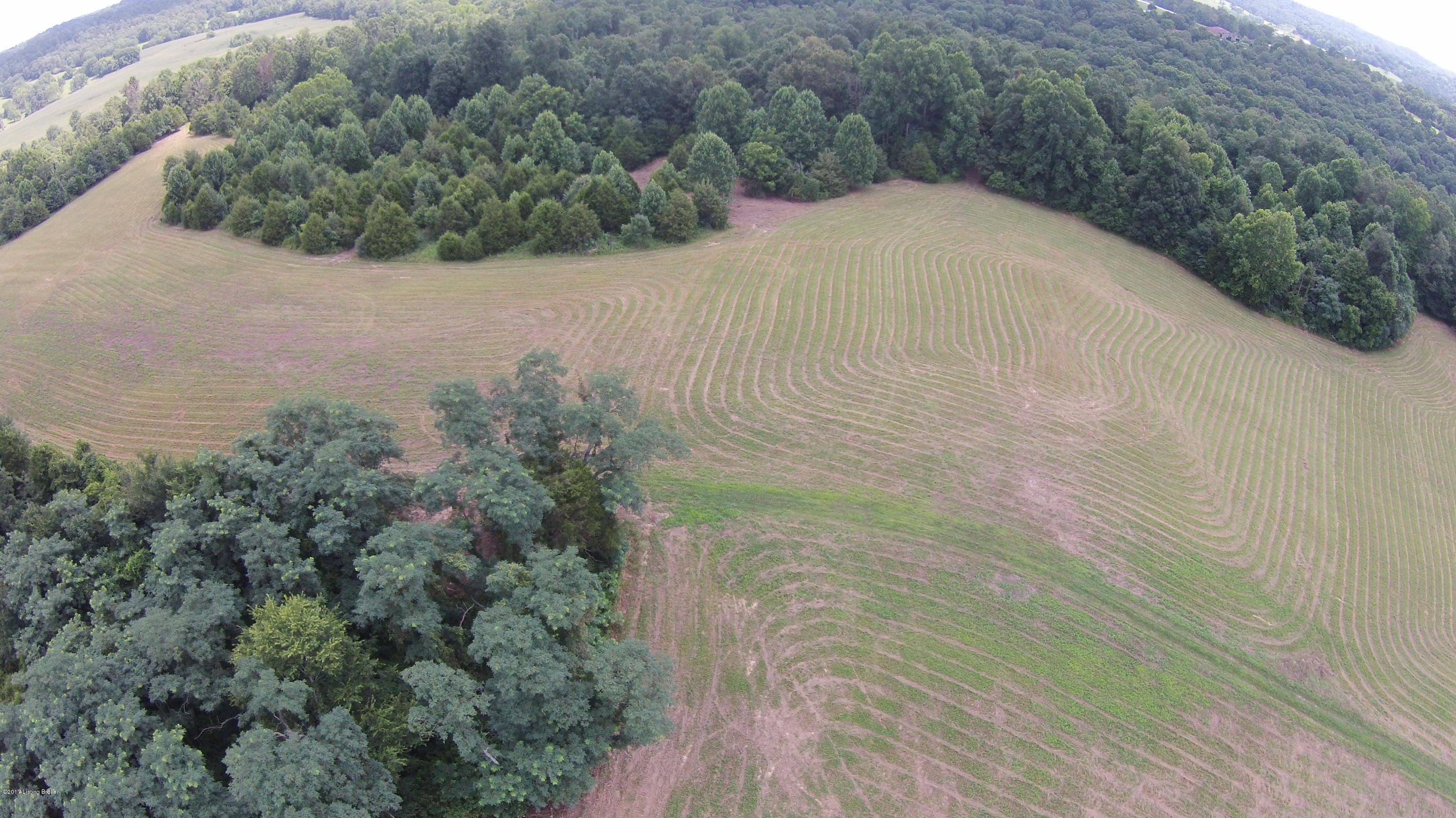 1192 Mell Cork Road, Unit ALL Edmonton, KY 42129 - Photo 6 of 44 DJI00129