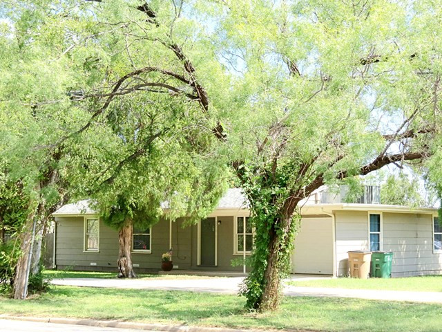 Main View