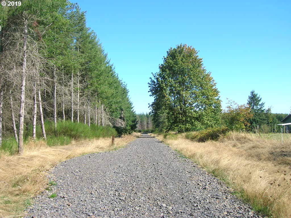Robinette Rd Street, Unit 1 St. Helens, OR 97051 - Photo 3 of 11 Gallery Image 3