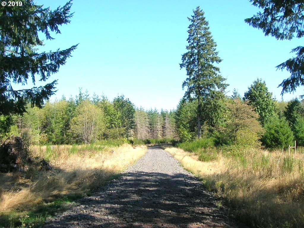 Robinette Rd Street, Unit 1 St. Helens, OR 97051 - Photo 4 of 11 Gallery Image 4