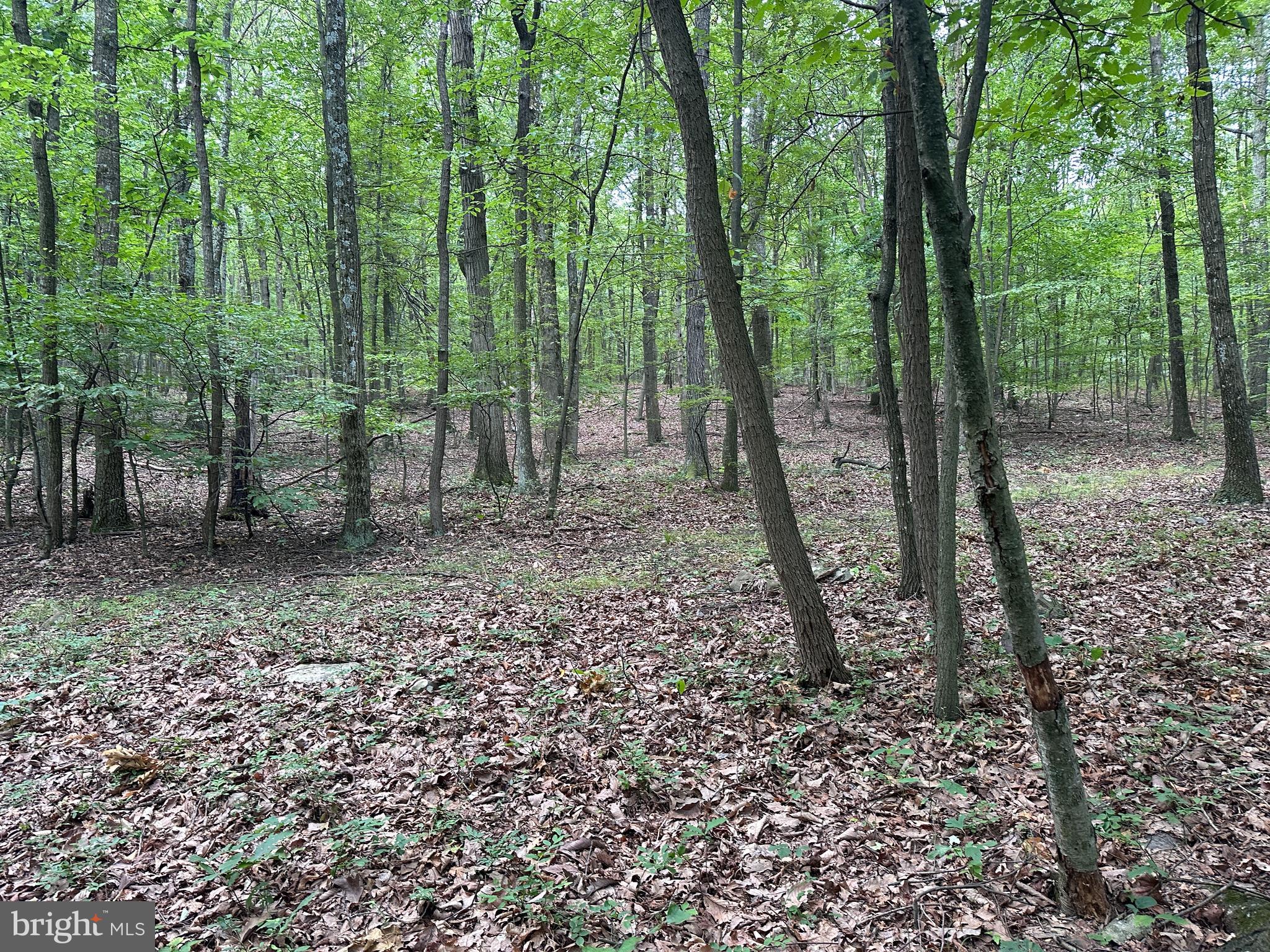 0 Hanging Rock Road Clear Spring, MD 21722 - Photo 27 of 30 Gallery Image 27
