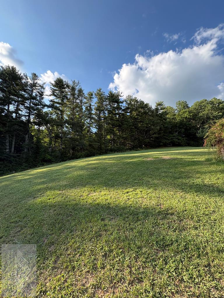 4482 Matoaka Road Rock, WV 24747 - Photo 18 of 31 Gallery Image 18