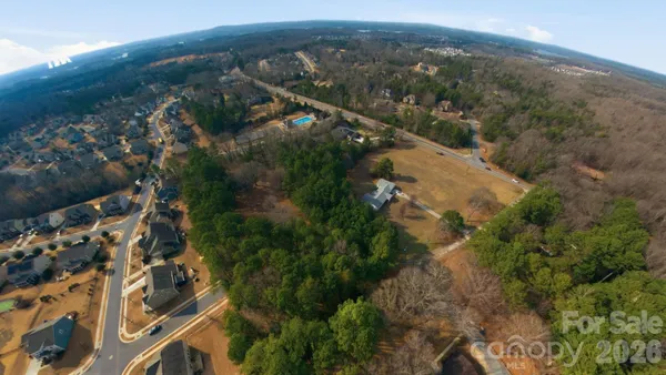 an aerial view of forest
