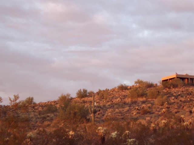 285 West Briles Road Phoenix, AZ 85085 - Photo 1 of 6 Primary Photo