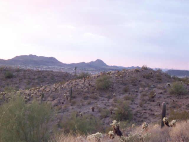 285 West Briles Road Phoenix, AZ 85085 - Photo 5 of 6 Additional Photo