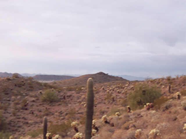 285 West Briles Road Phoenix, AZ 85085 - Photo 6 of 6 Additional Photo