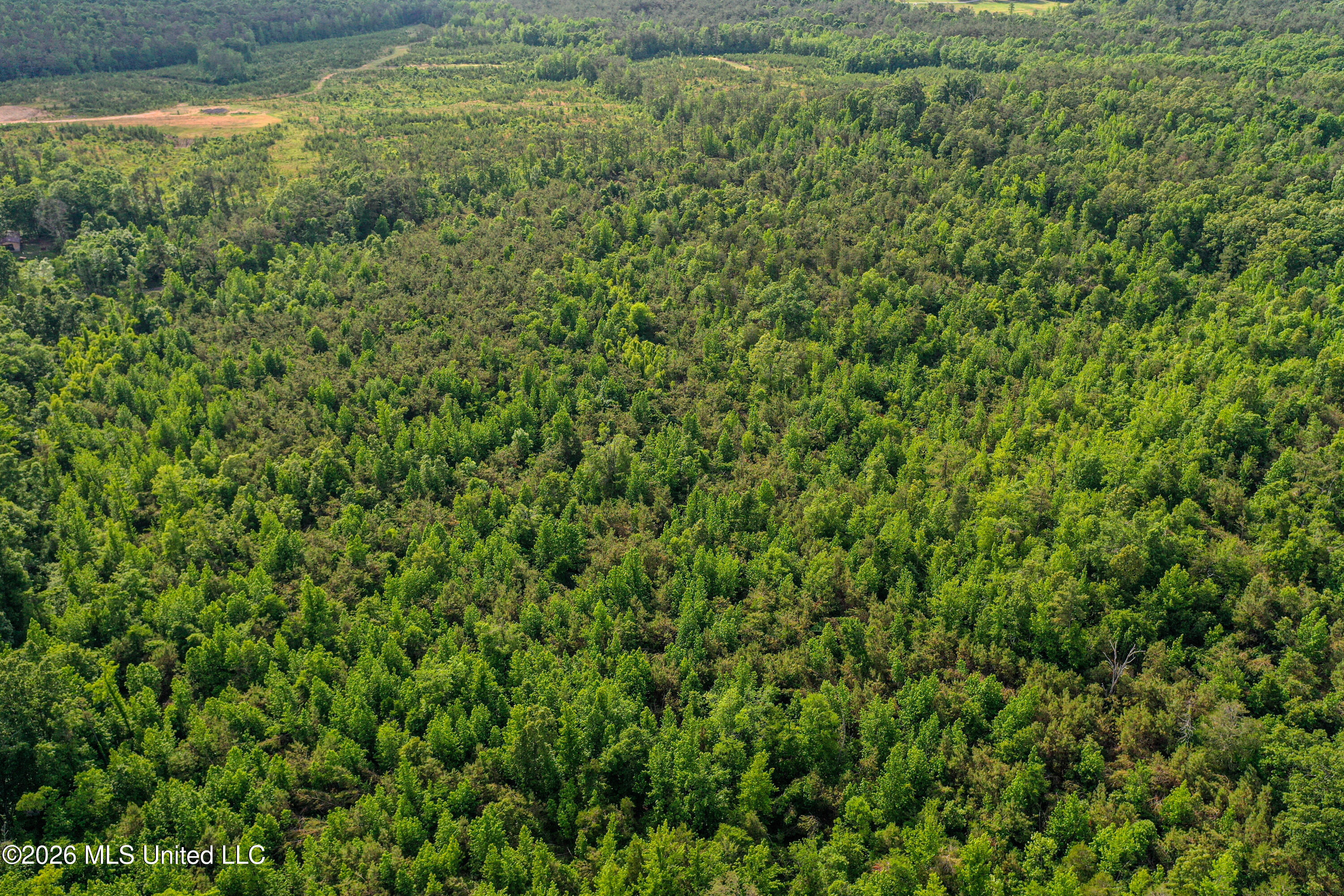 816 County Road Blue Mountain, MS 38610 - Photo 10 of 21 DJI_0746