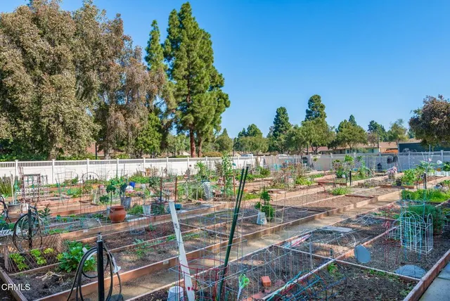 a view of a house with pool and a yard