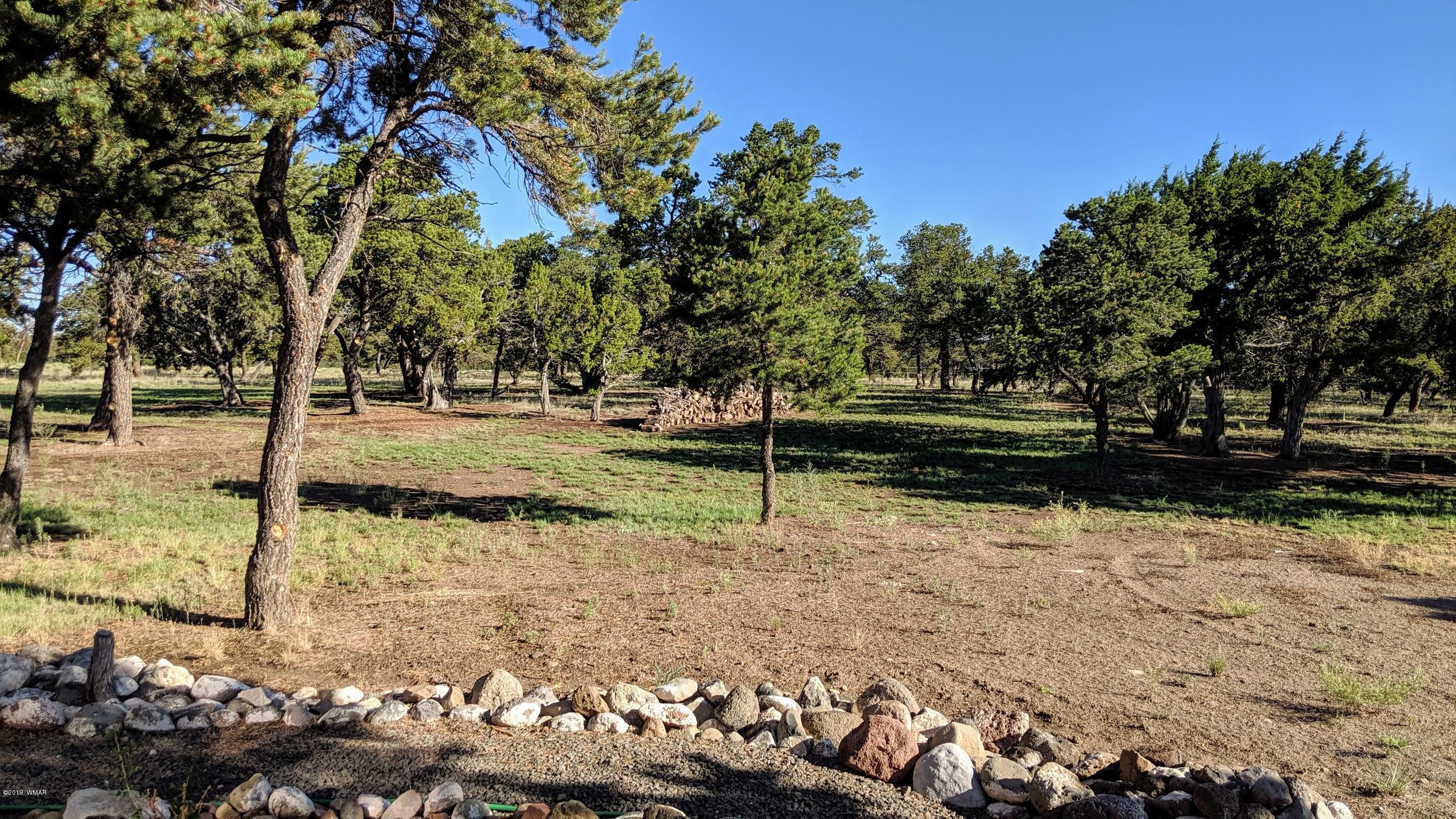 13 Fountain Hills Road Quemado, NM 87829 - Photo 11 of 30