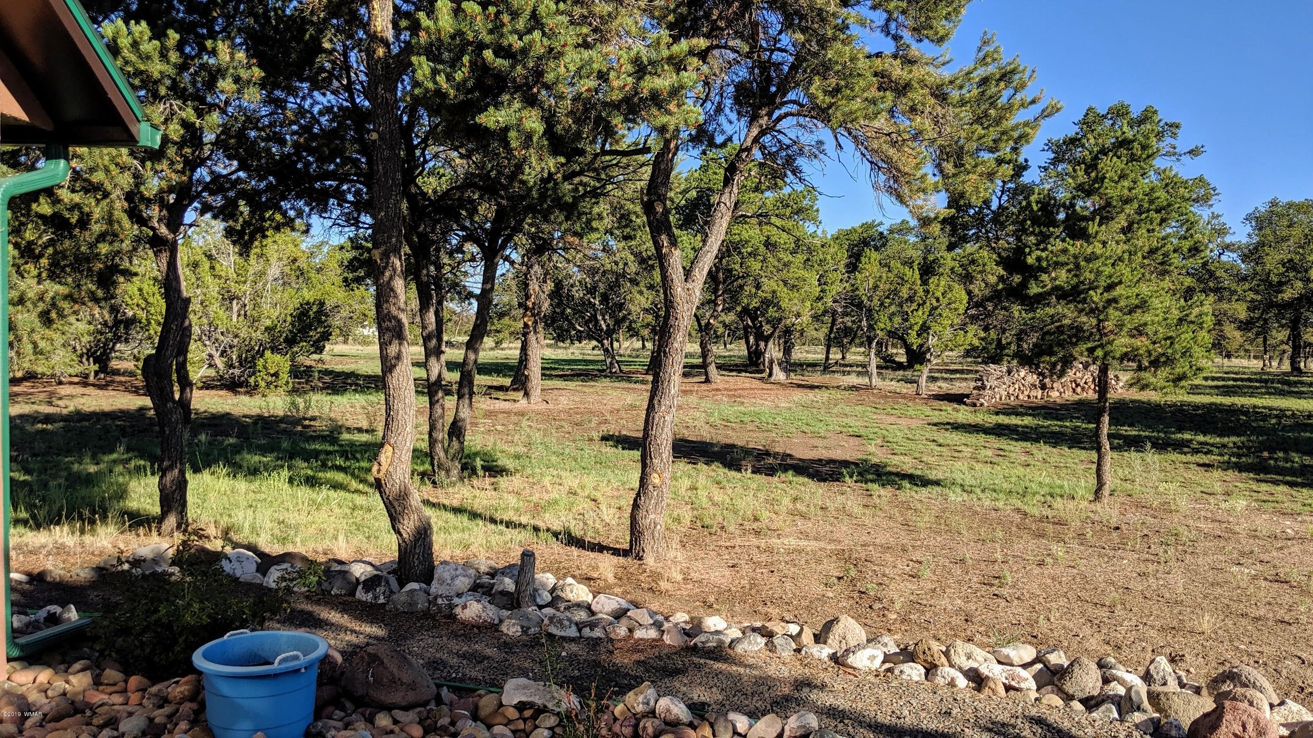 13 Fountain Hills Road Quemado, NM 87829 - Photo 12 of 30