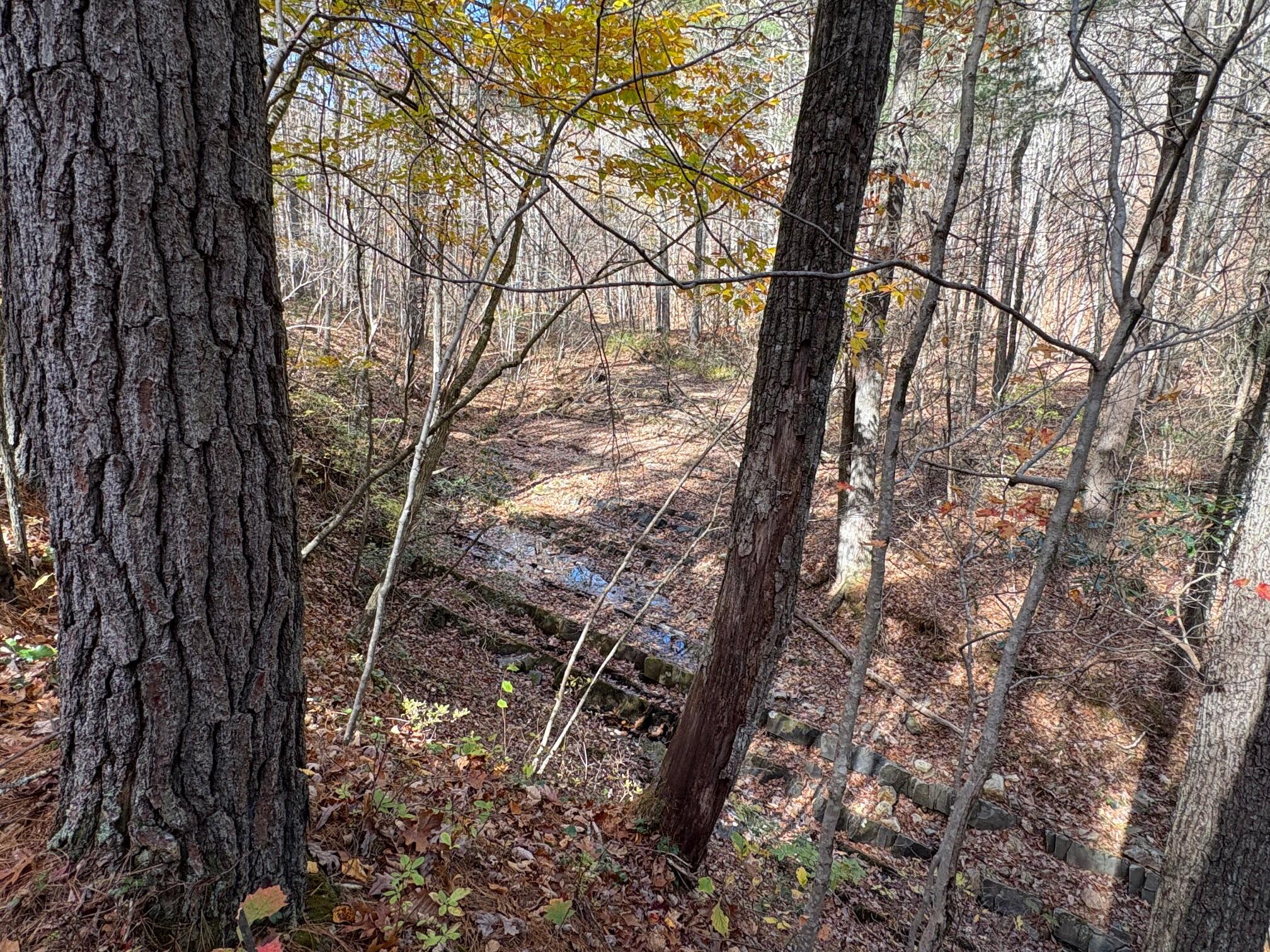 1080 Roxalia Turnpike Road Gap Mills, WV 24941 - Photo 45 of 81 IMG_3733