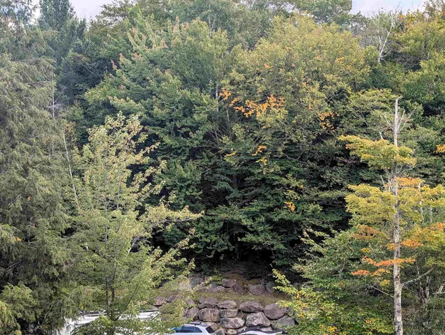 $33,500 | 90 Loon Mountain Road, Unit 1205B, Lincoln, NH 03251