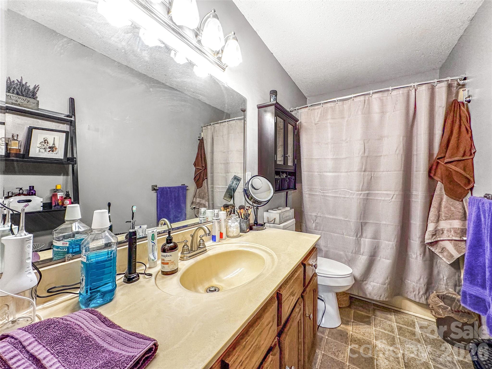 4386 Rocky Road Lenoir, NC 28645 - Photo 18 of 43 a bathroom with a sink mirror and a toilet