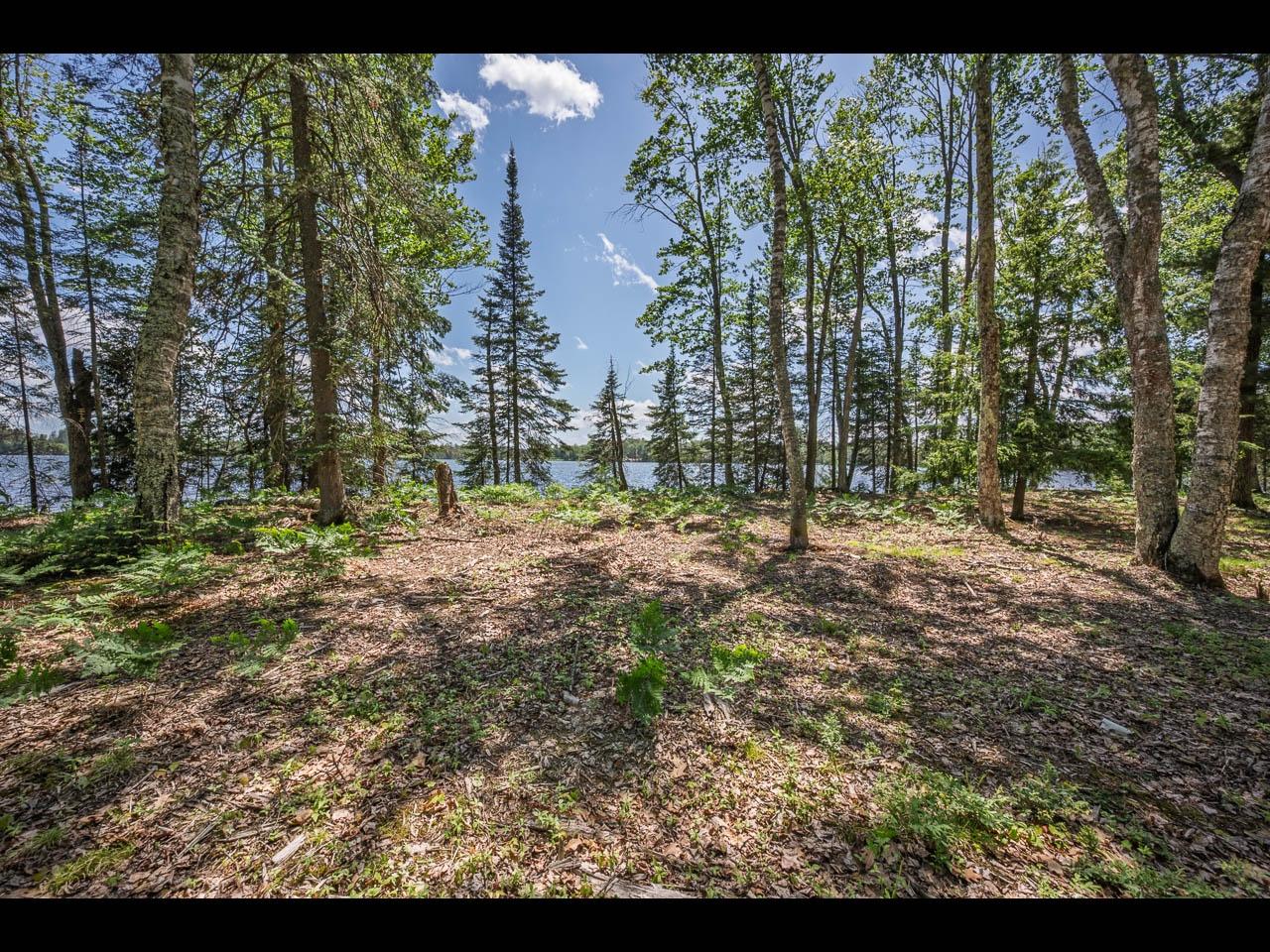 Lot 141 Kindling Point Eagle River, WI 54521 - Photo 11 of 19 Gallery Image 11
