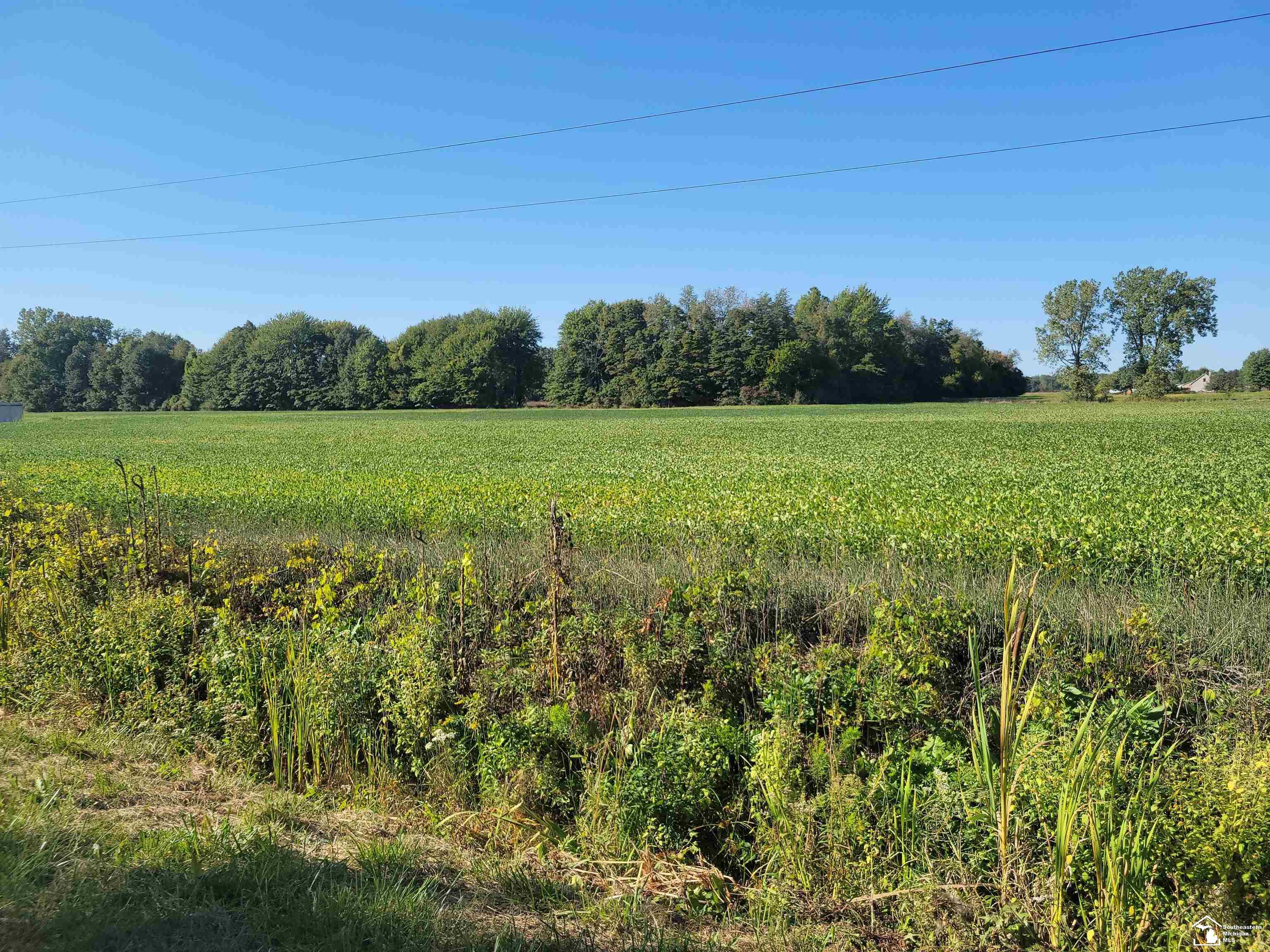 1 Summerfield Road Petersburg, MI 49270 - Photo 1 of 5 Gallery Image 1