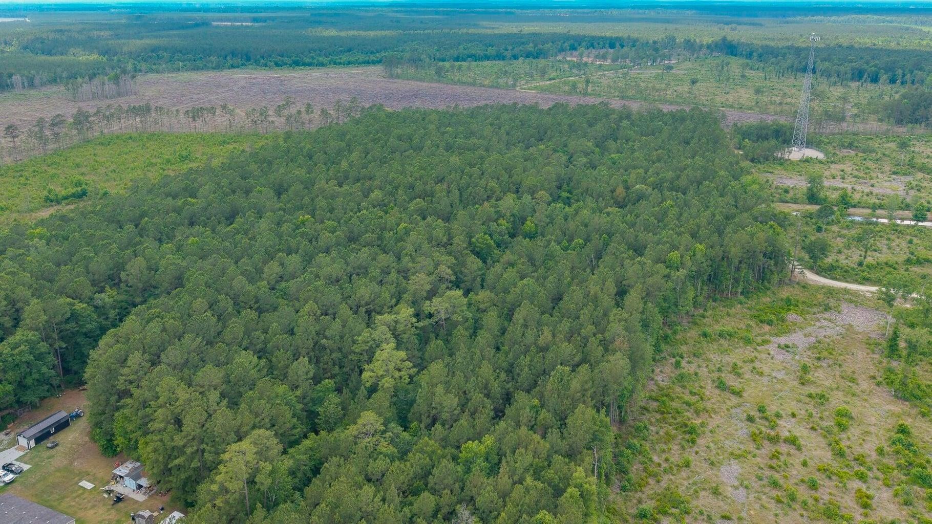 6222 Saints Delight Road Georgetown, SC 29440 - Photo 12 of 27
