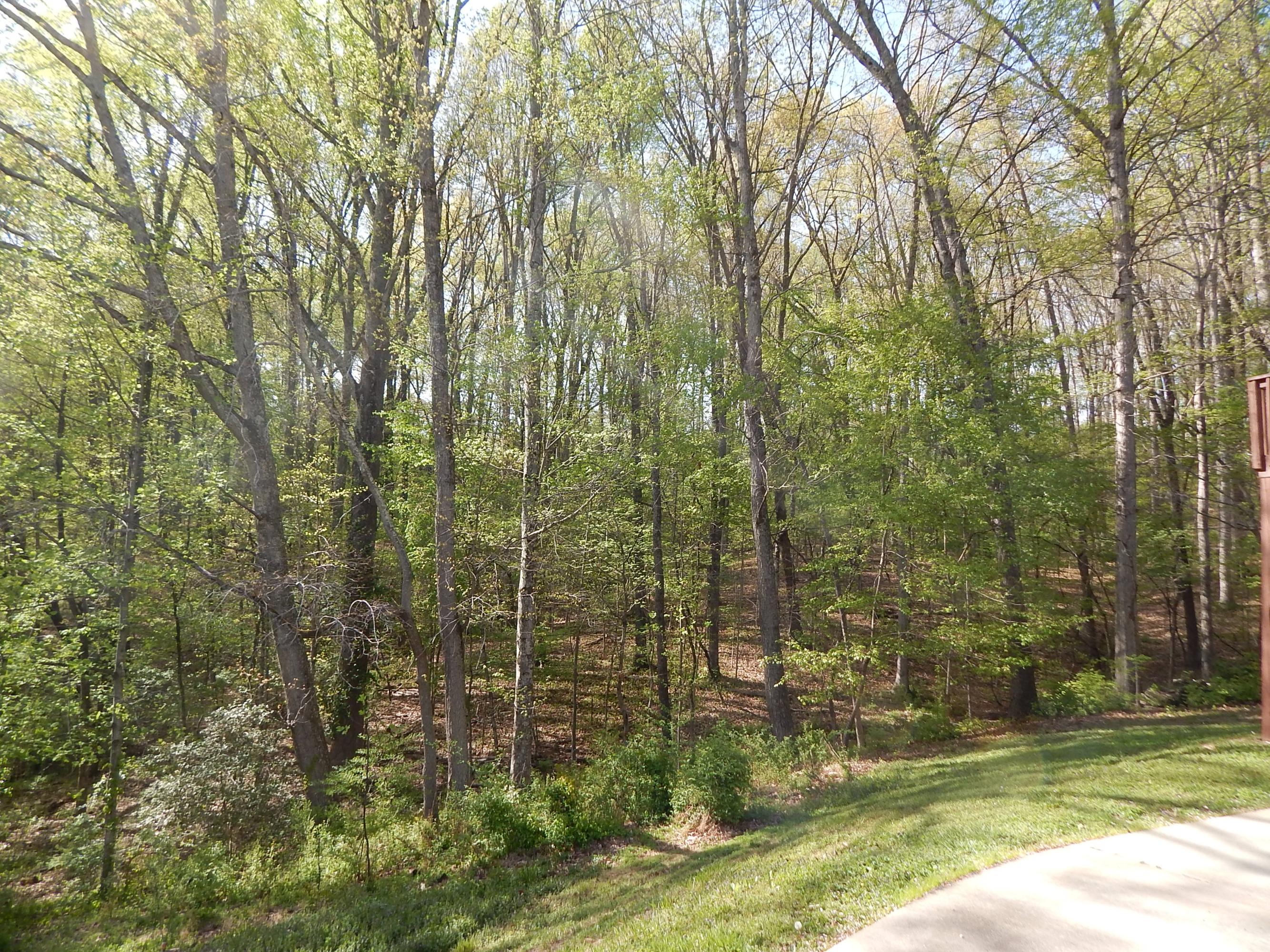 375 Jefferson Avenue Oak Ridge, TN 37830 - Photo 10 of 11 054