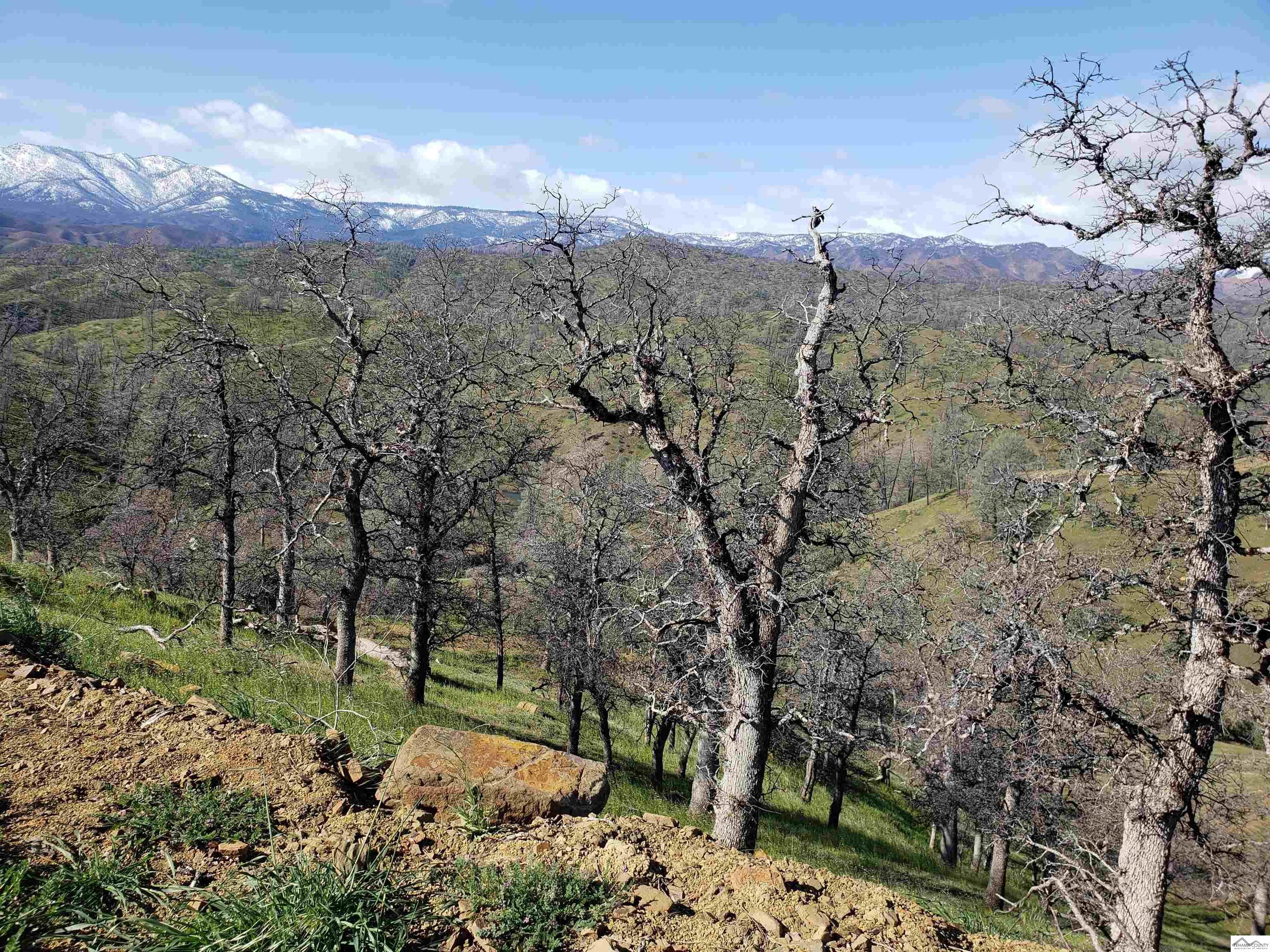 0 Vestal Road, Unit WELLS CREEK RANCHES Red Bluff, CA 96080 - Photo 15 of 45