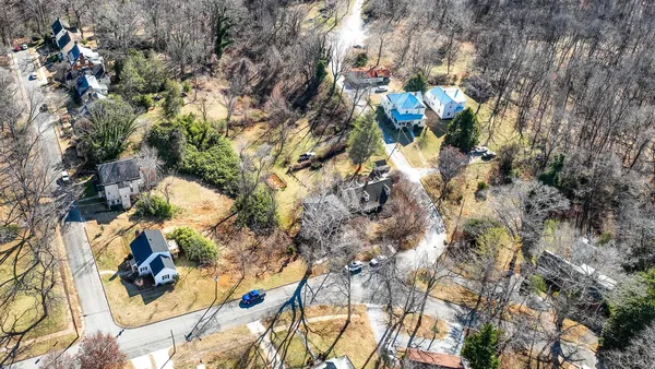 a picture of flowers