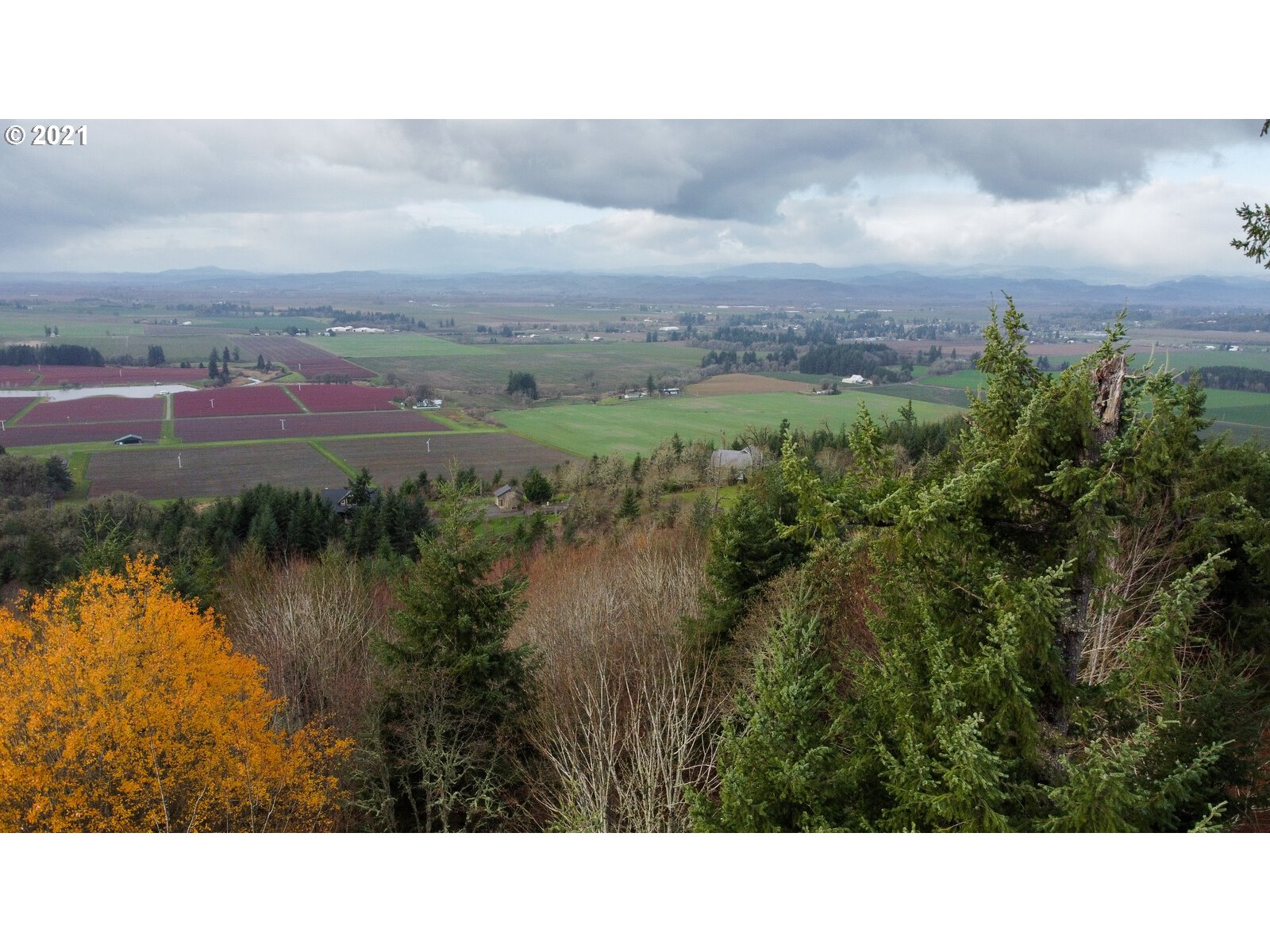 0 Southeast Sartore Road Amity, OR 97101 - Photo 2 of 18 Gallery Image 2
