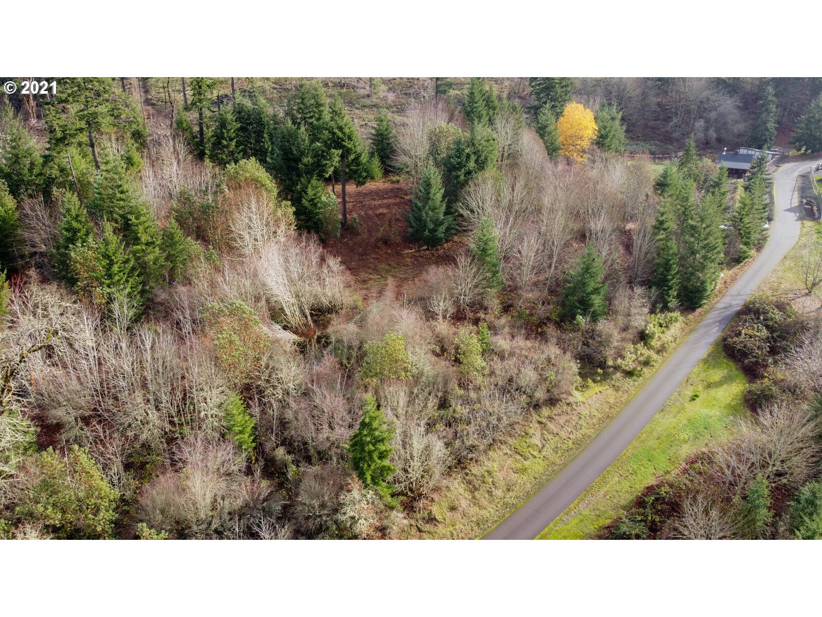 0 Southeast Sartore Road Amity, OR 97101 - Photo 11 of 18 Gallery Image 11