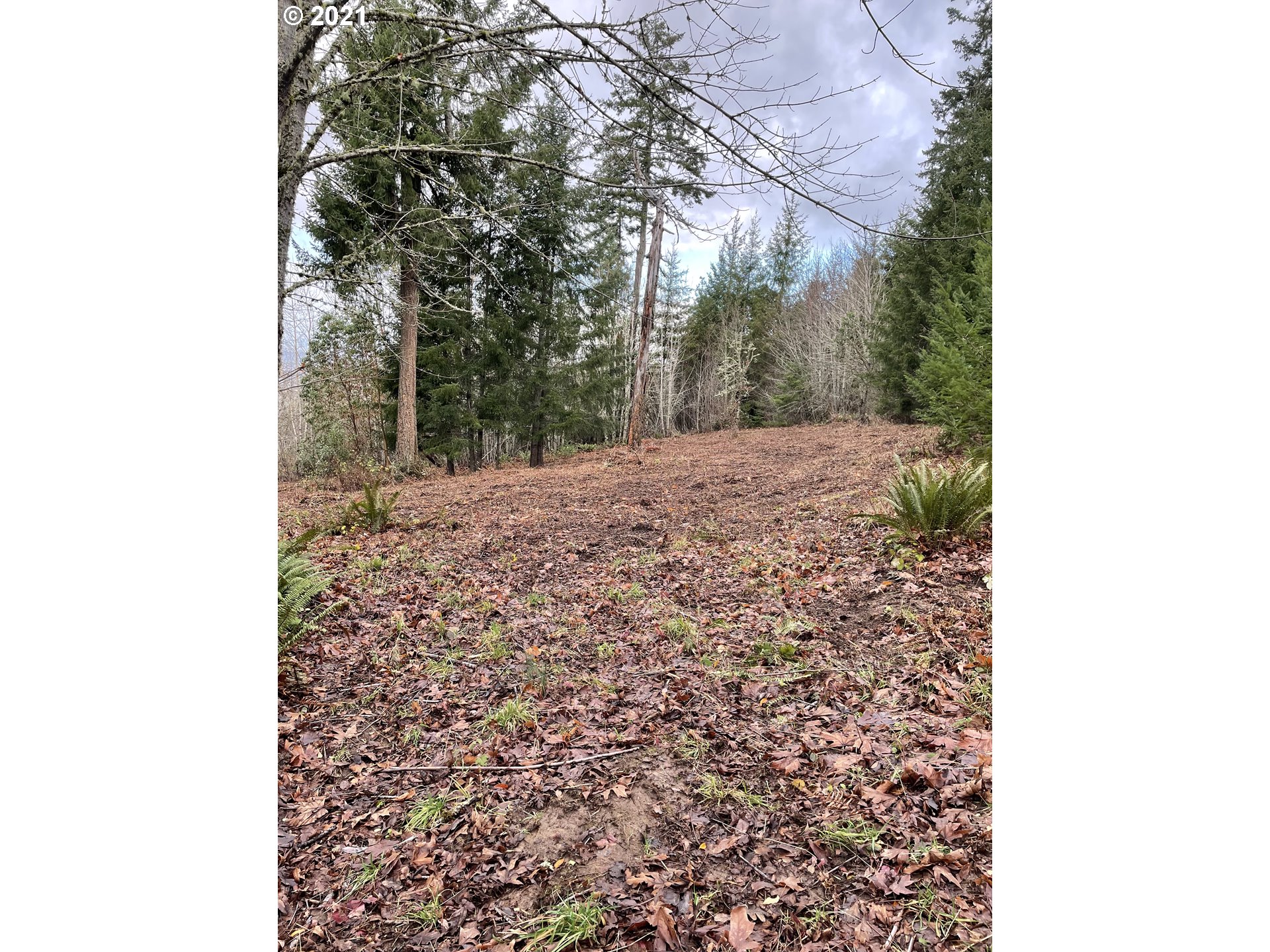 0 Southeast Sartore Road Amity, OR 97101 - Photo 13 of 18 Gallery Image 13