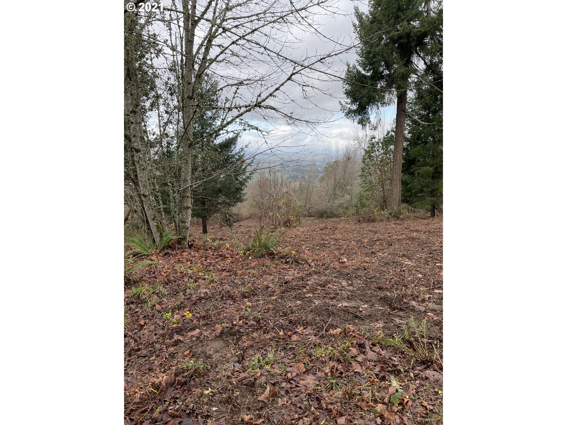 0 Southeast Sartore Road Amity, OR 97101 - Photo 14 of 18 Gallery Image 14