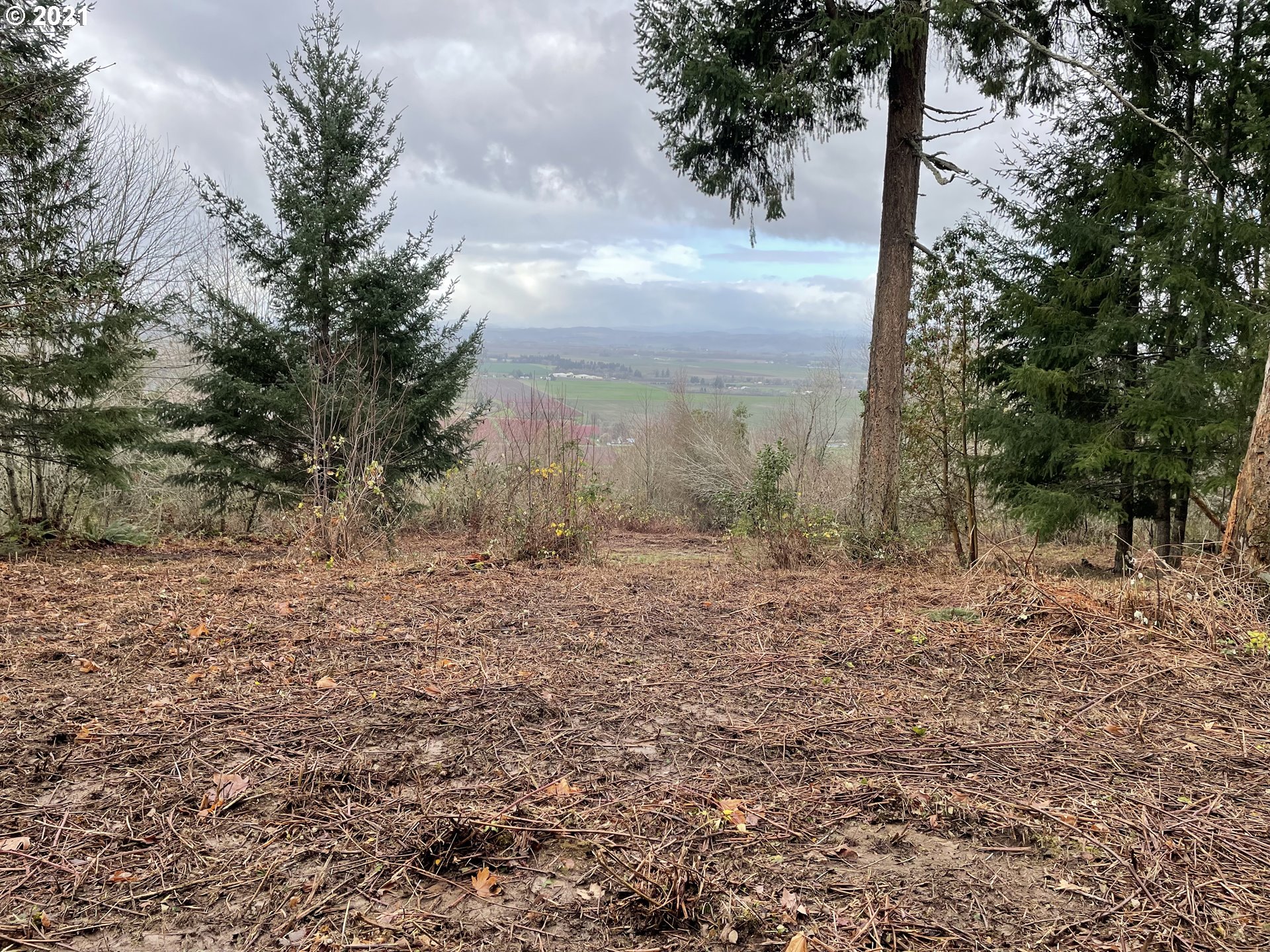 0 Southeast Sartore Road Amity, OR 97101 - Photo 15 of 18 Gallery Image 15