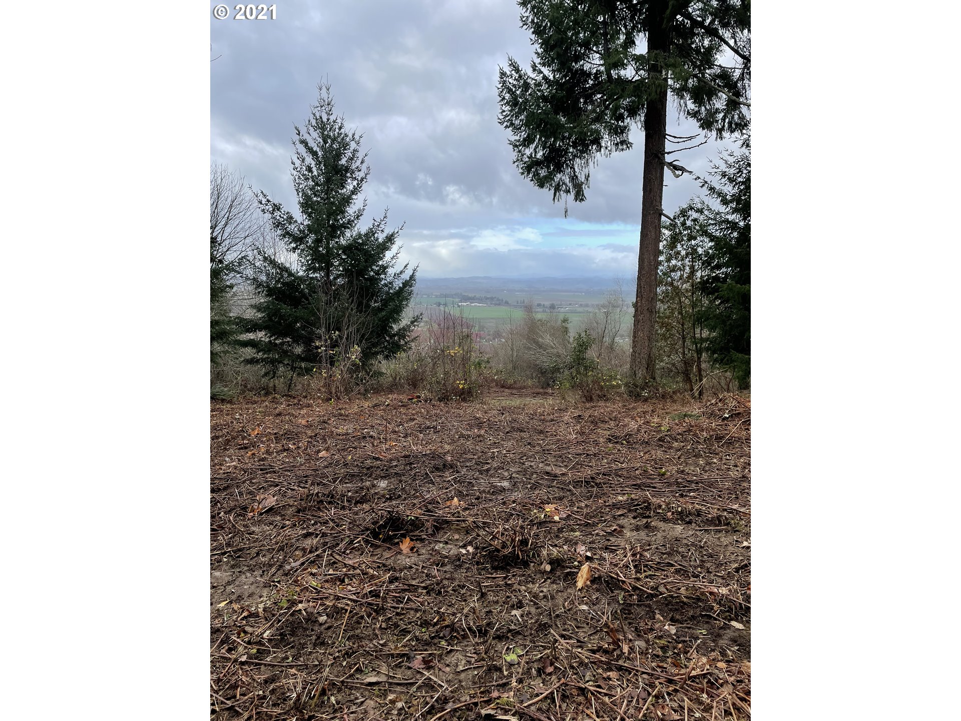 0 Southeast Sartore Road Amity, OR 97101 - Photo 16 of 18 Gallery Image 16