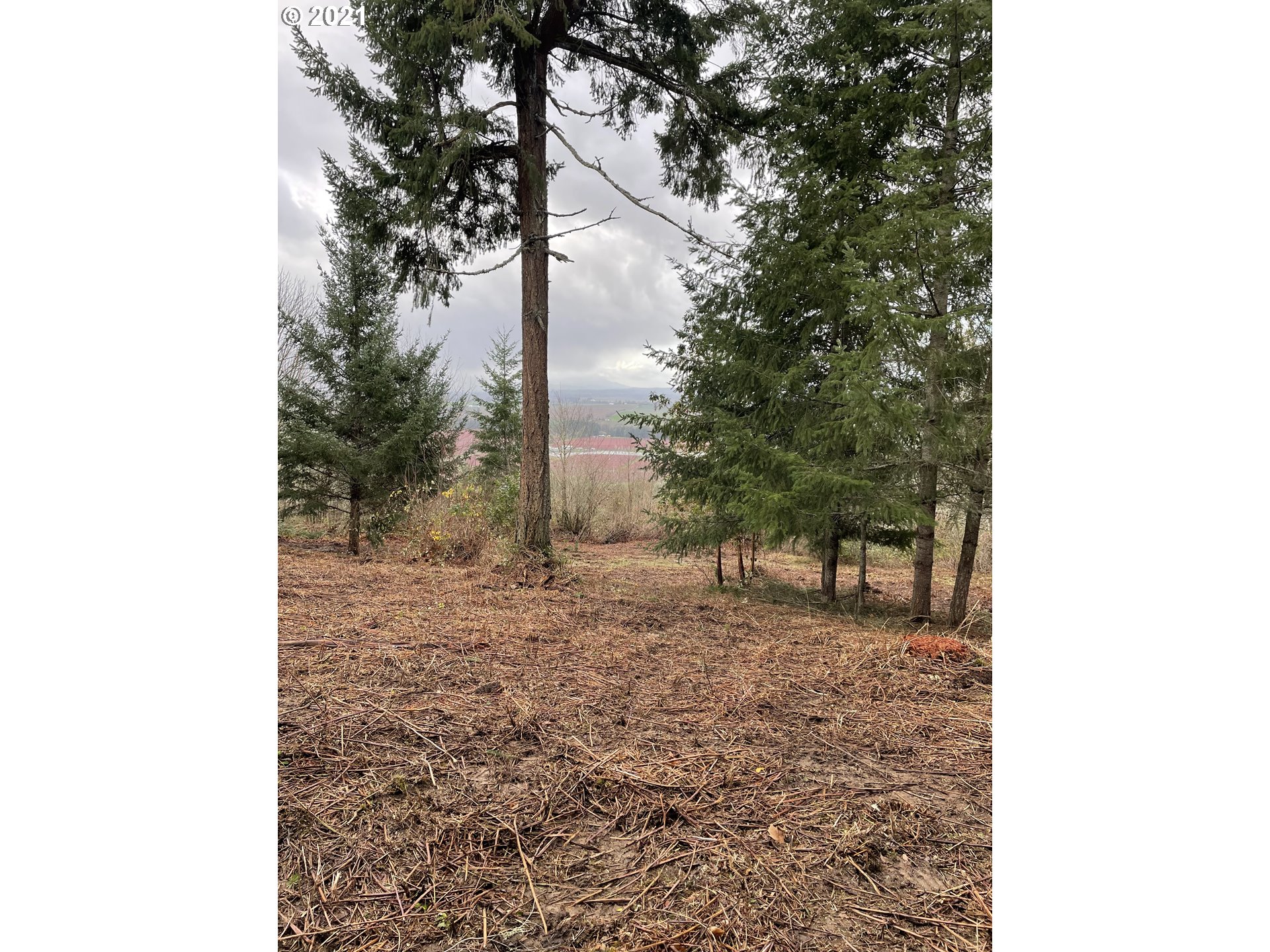 0 Southeast Sartore Road Amity, OR 97101 - Photo 17 of 18 Gallery Image 17