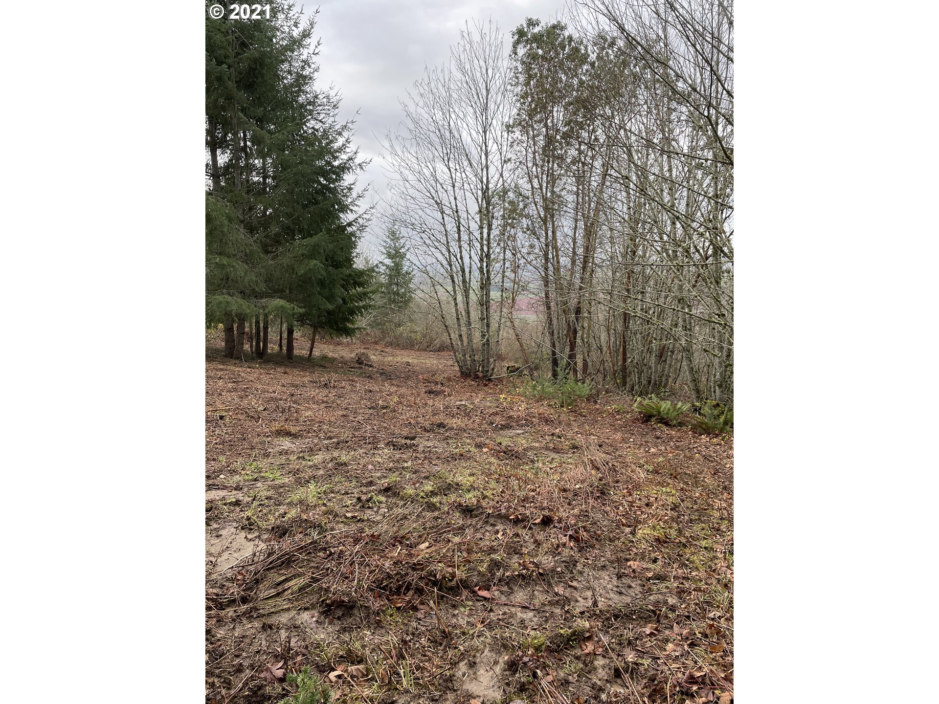 0 Southeast Sartore Road Amity, OR 97101 - Photo 18 of 18 Gallery Image 18