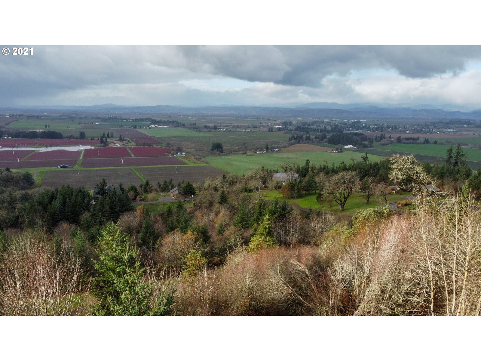 0 Southeast Sartore Road Amity, OR 97101 - Photo 3 of 18 Gallery Image 3
