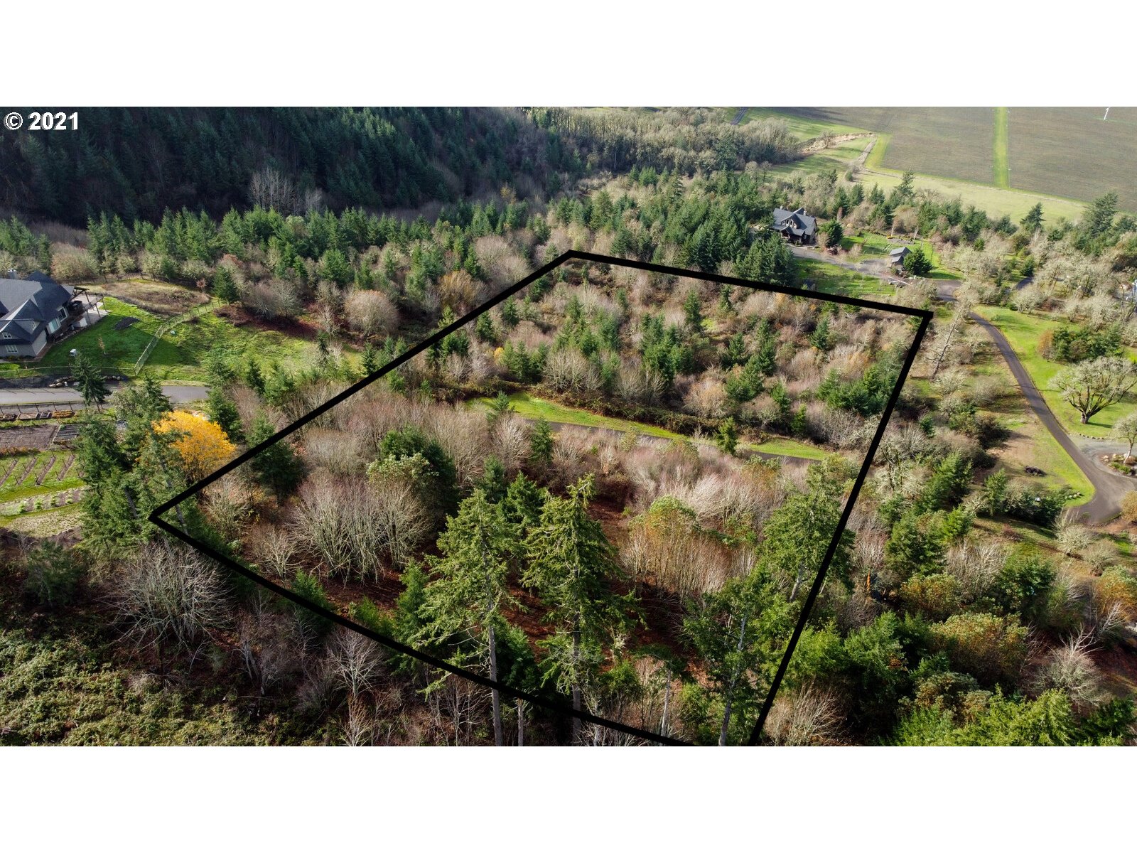 0 Southeast Sartore Road Amity, OR 97101 - Photo 8 of 18 Gallery Image 8