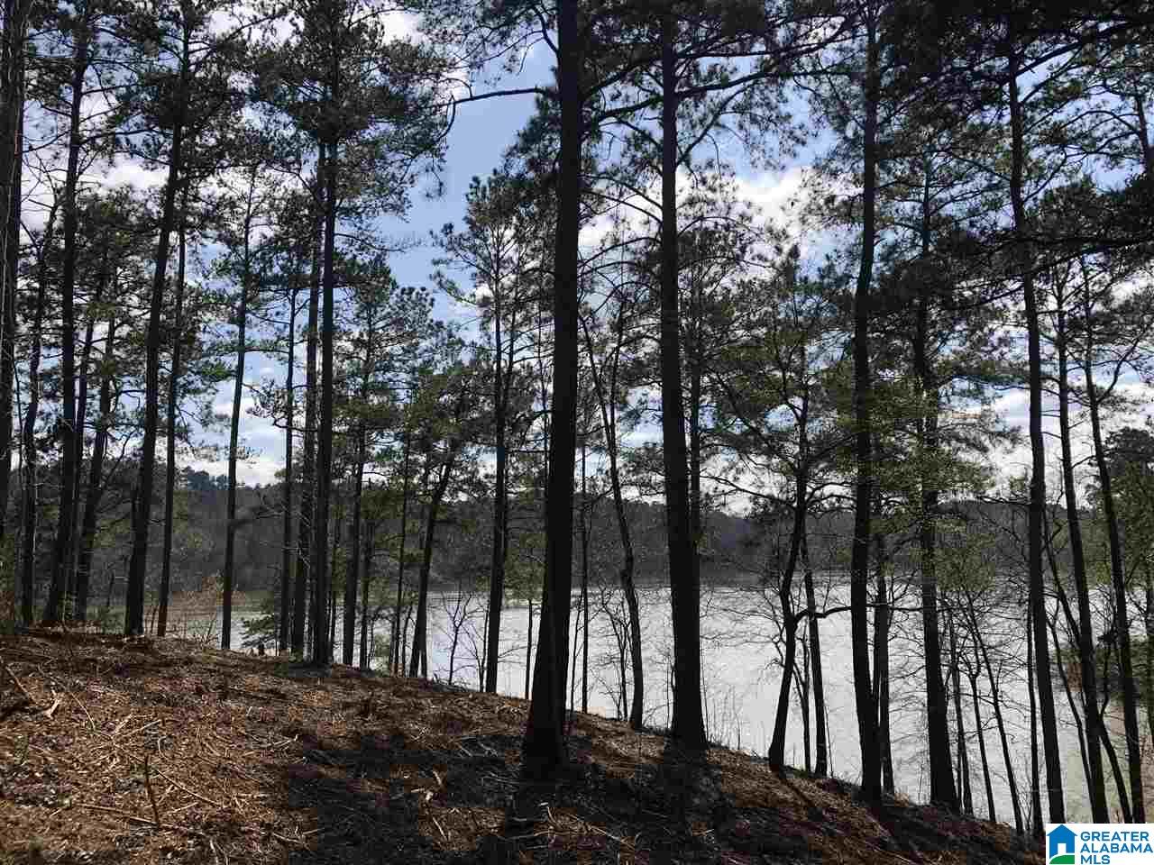 Stillwaters Trail Sylacauga, AL 35151 - Photo 20 of 30
