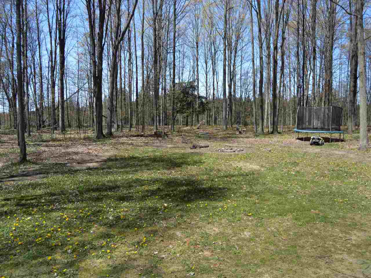 11389 North 17 Road Buckley, MI 49620 - Photo 33 of 47 1831757-32.JPG
