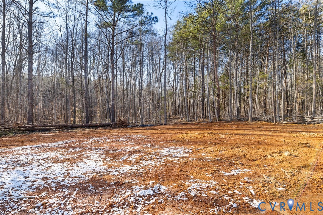 320 Vogel Road Cumberland, VA 23040 - Photo 26 of 28 a view of a large yard