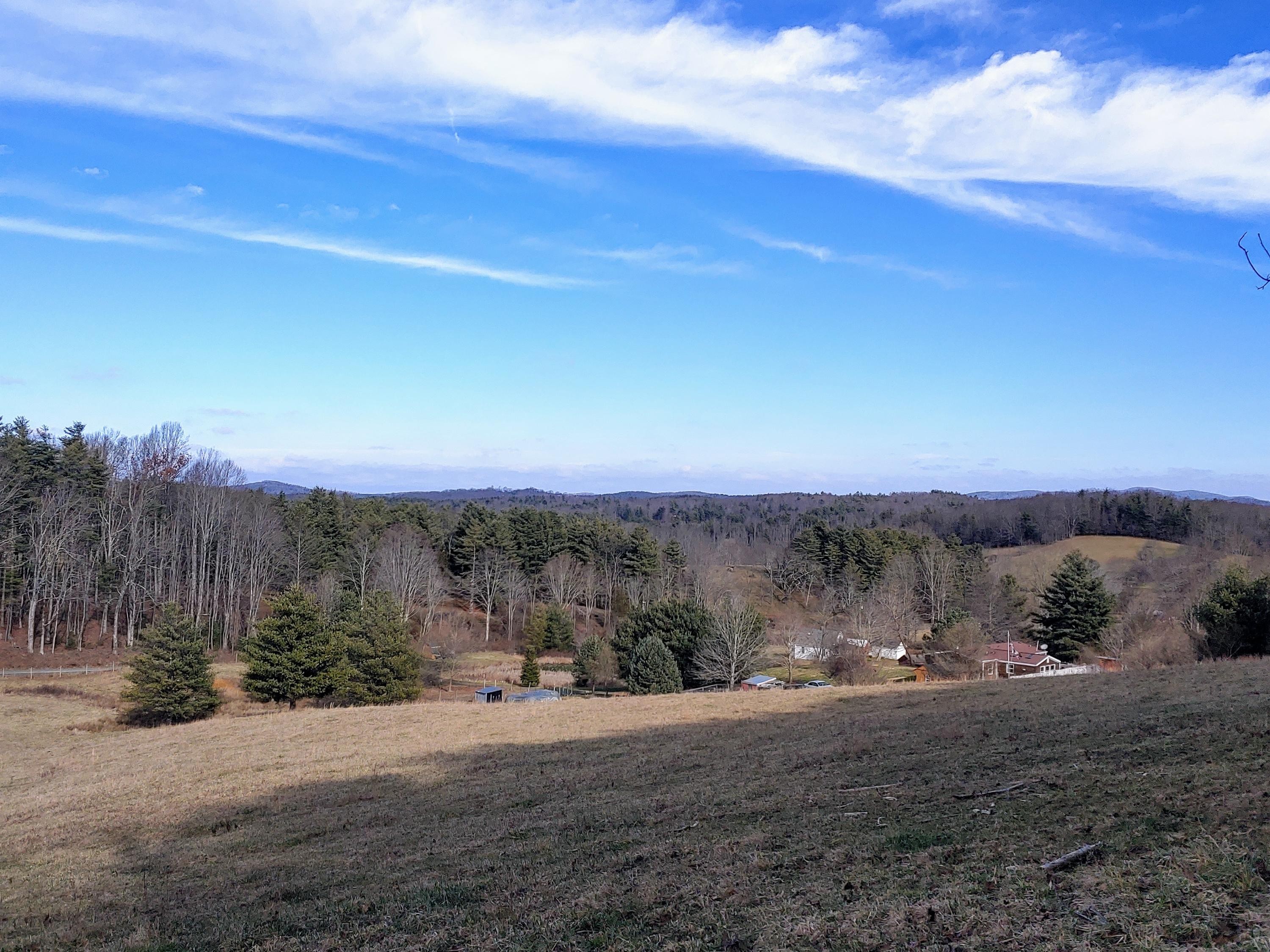 0 Gardner Road Northwest Willis, VA 24380 - Photo 1 of 8 Picture of Land