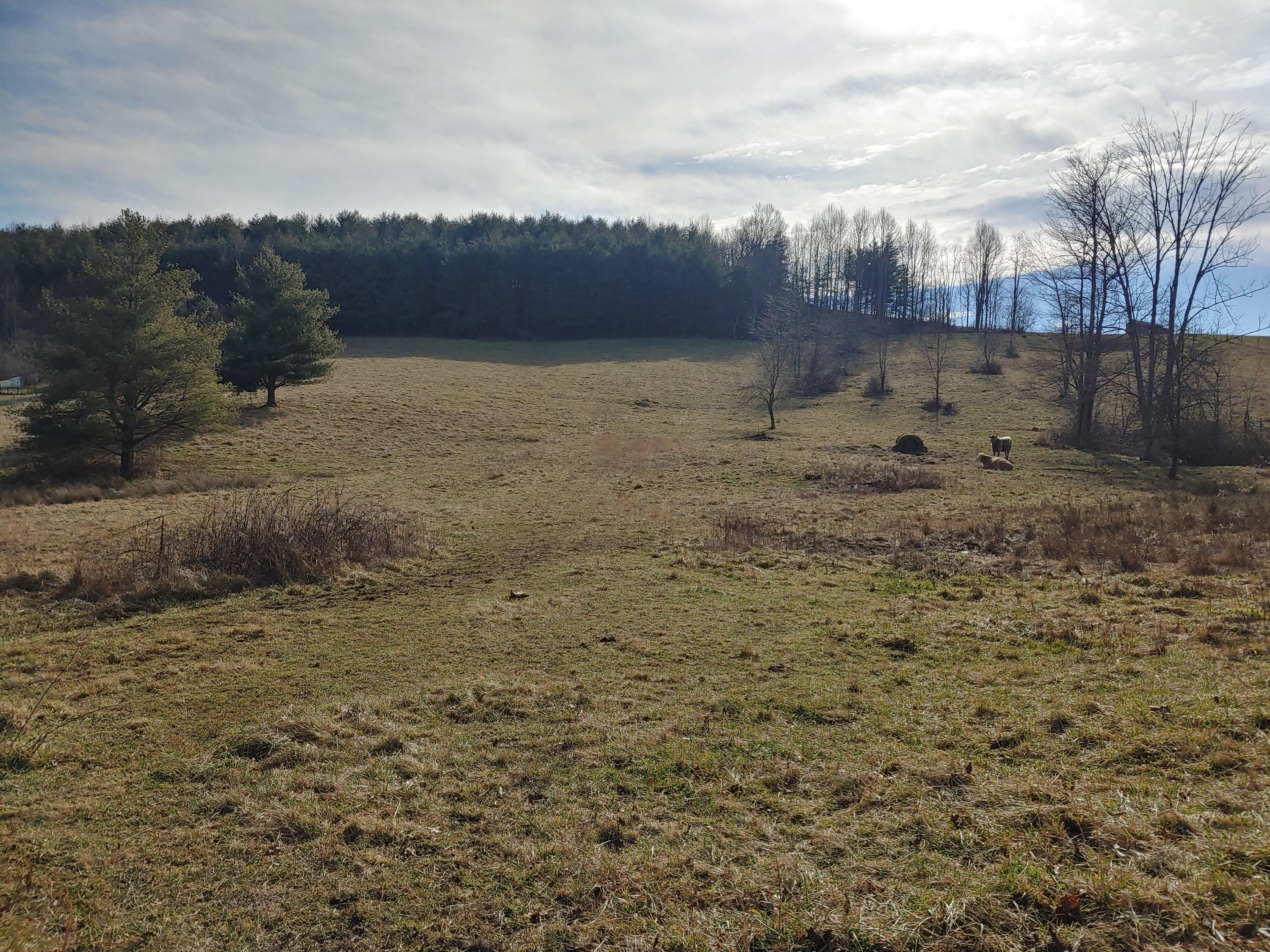 0 Gardner Road Northwest Willis, VA 24380 - Photo 2 of 8 2