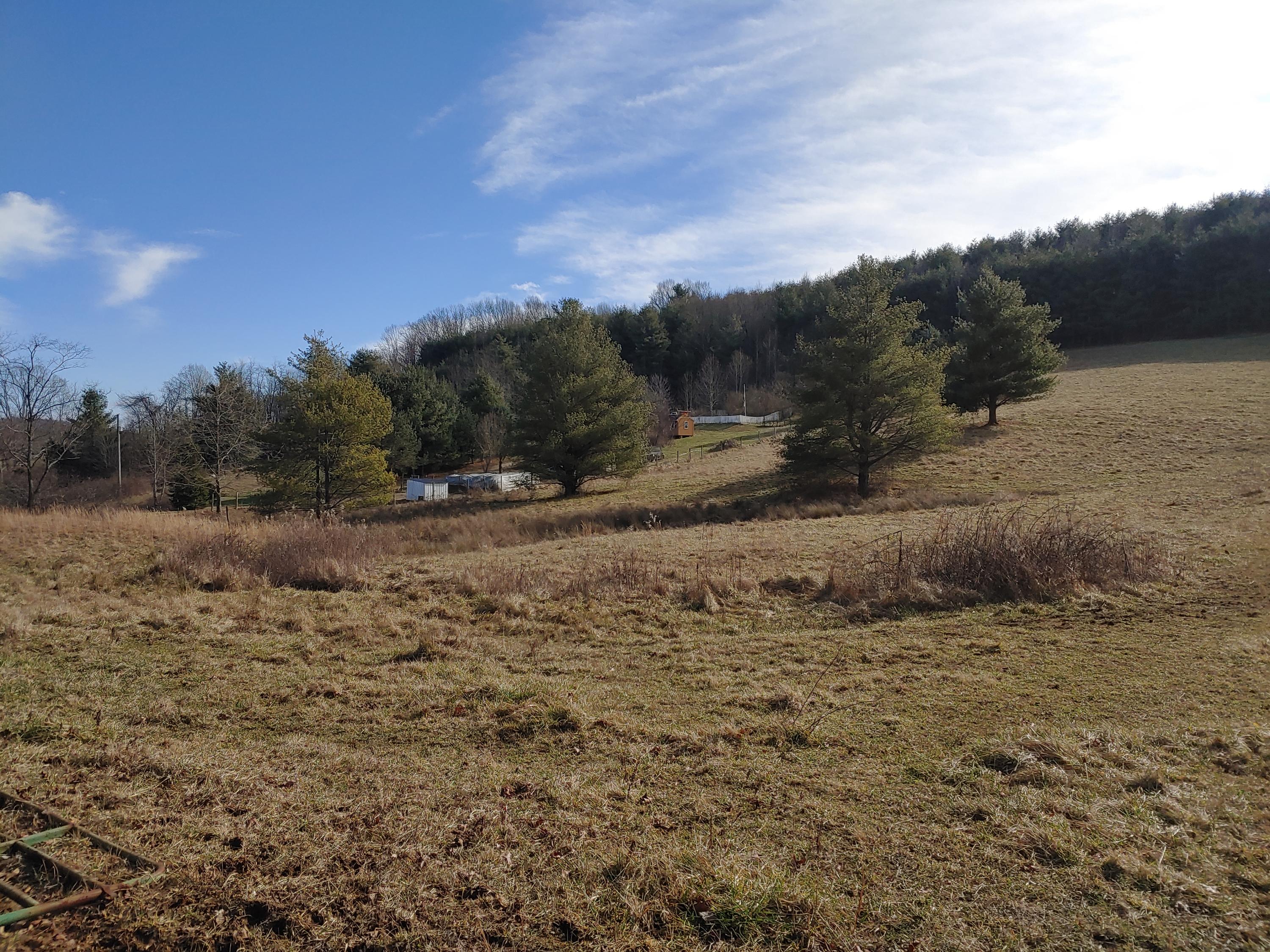 0 Gardner Road Northwest Willis, VA 24380 - Photo 5 of 8 5