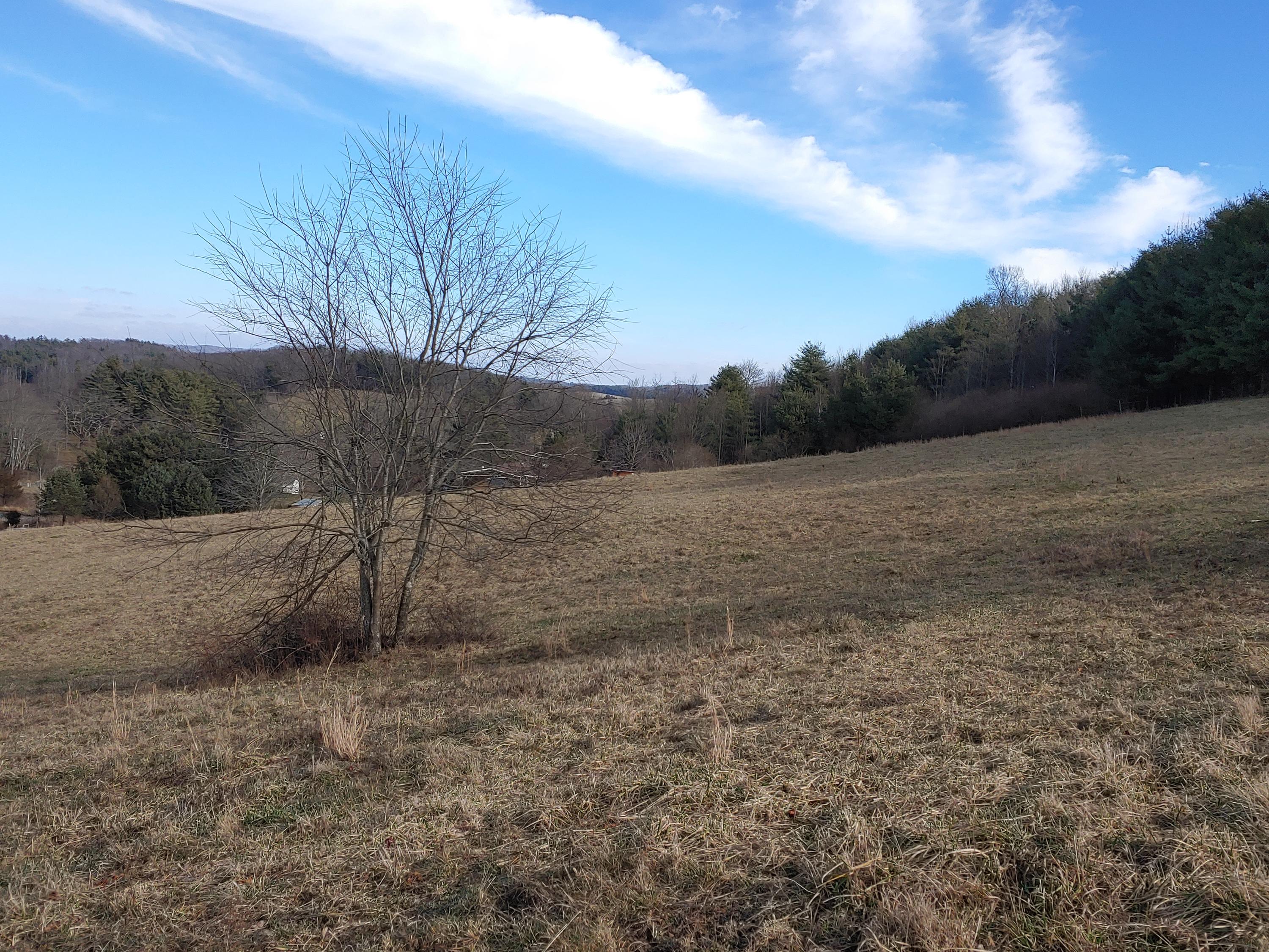 0 Gardner Road Northwest Willis, VA 24380 - Photo 7 of 8 7
