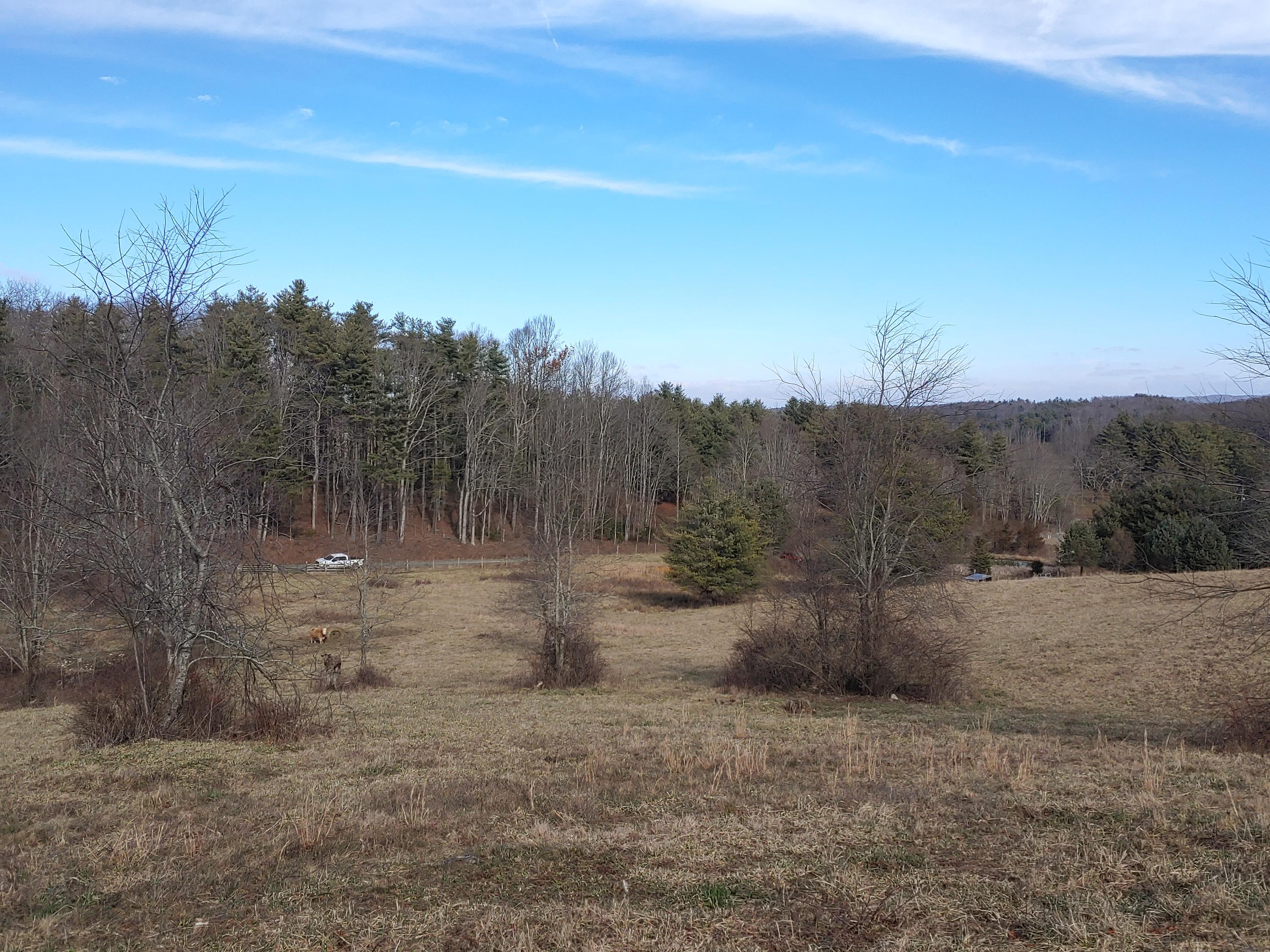 0 Gardner Road Northwest Willis, VA 24380 - Photo 8 of 8 8